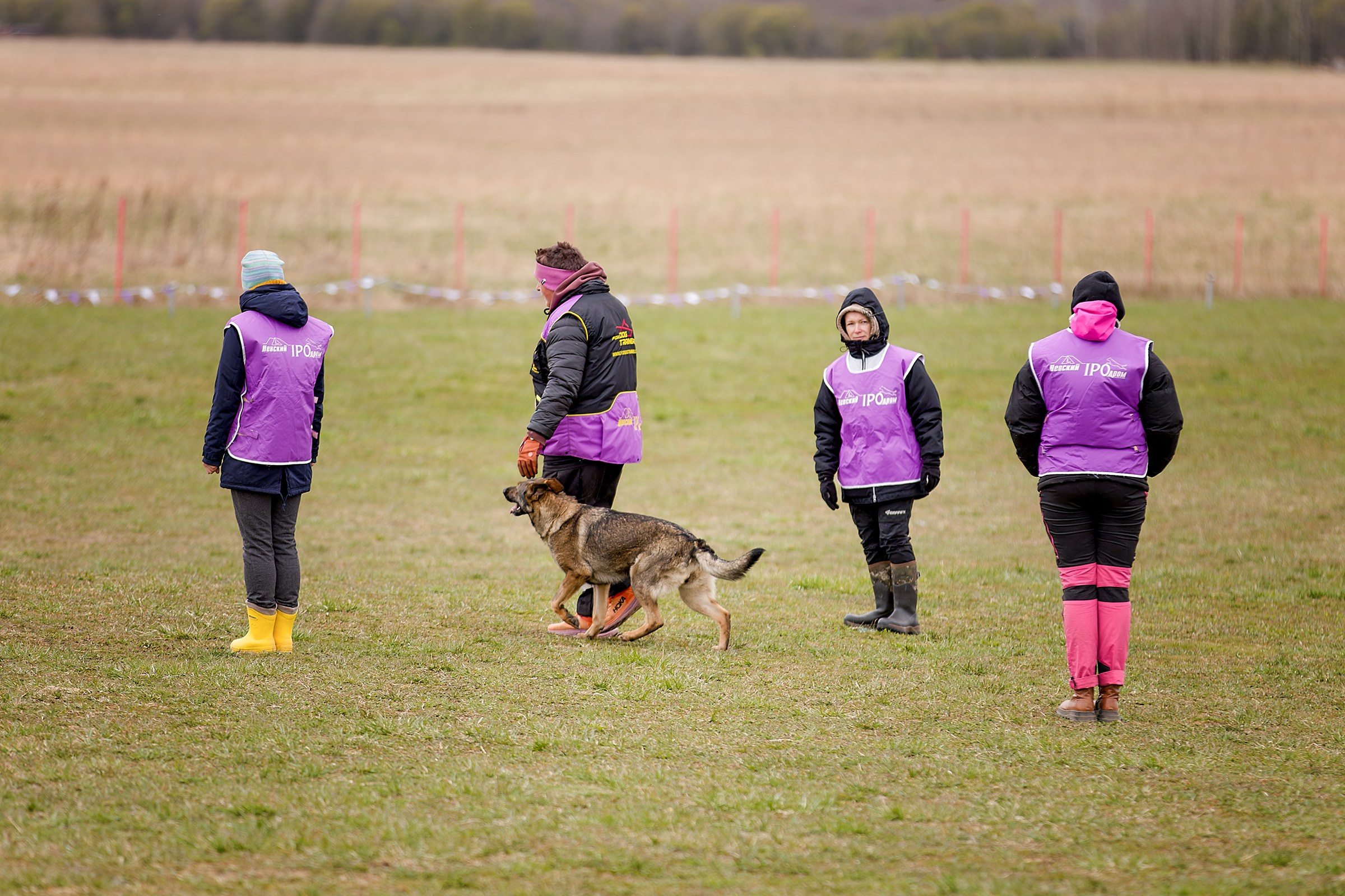 Чемпионат СЗФО по IGP 1 — 3. Irenephoto.ru