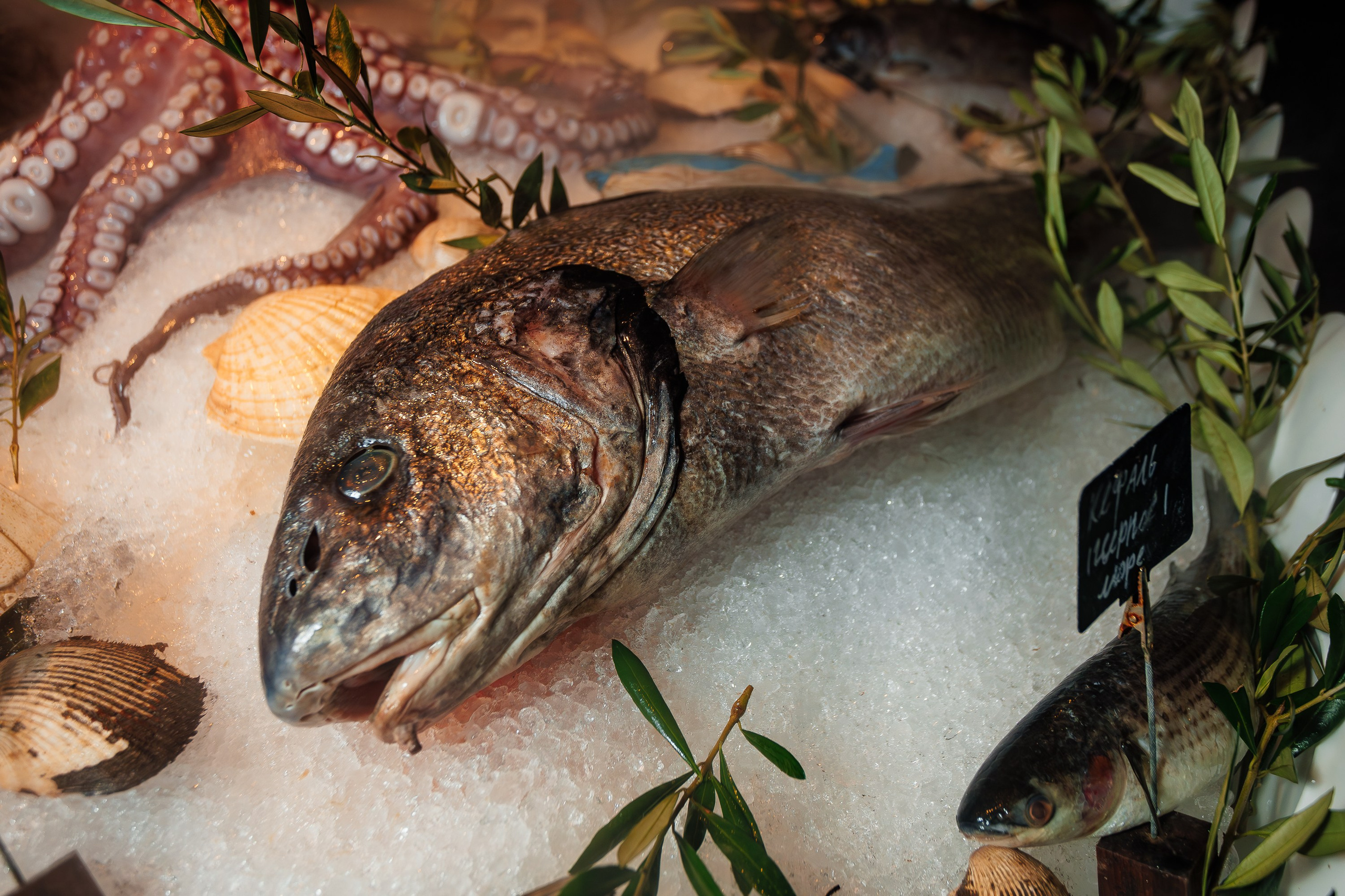 Гастроужин в греческом ресторане ЛИВАДИЯ_Ялта_27.09.2025. Аминов Руслан | Фотограф