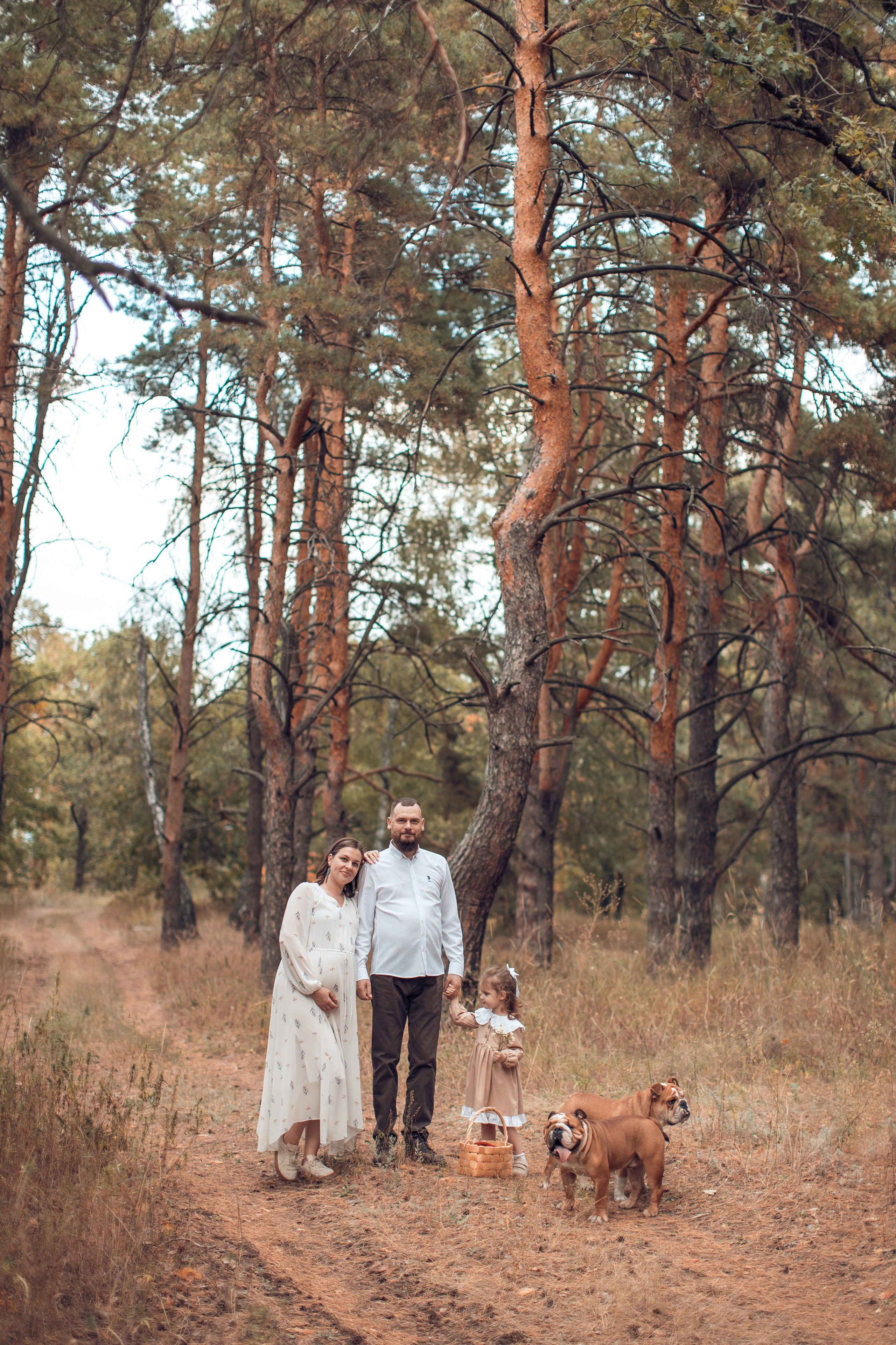 Прогулка в Широком. Главная