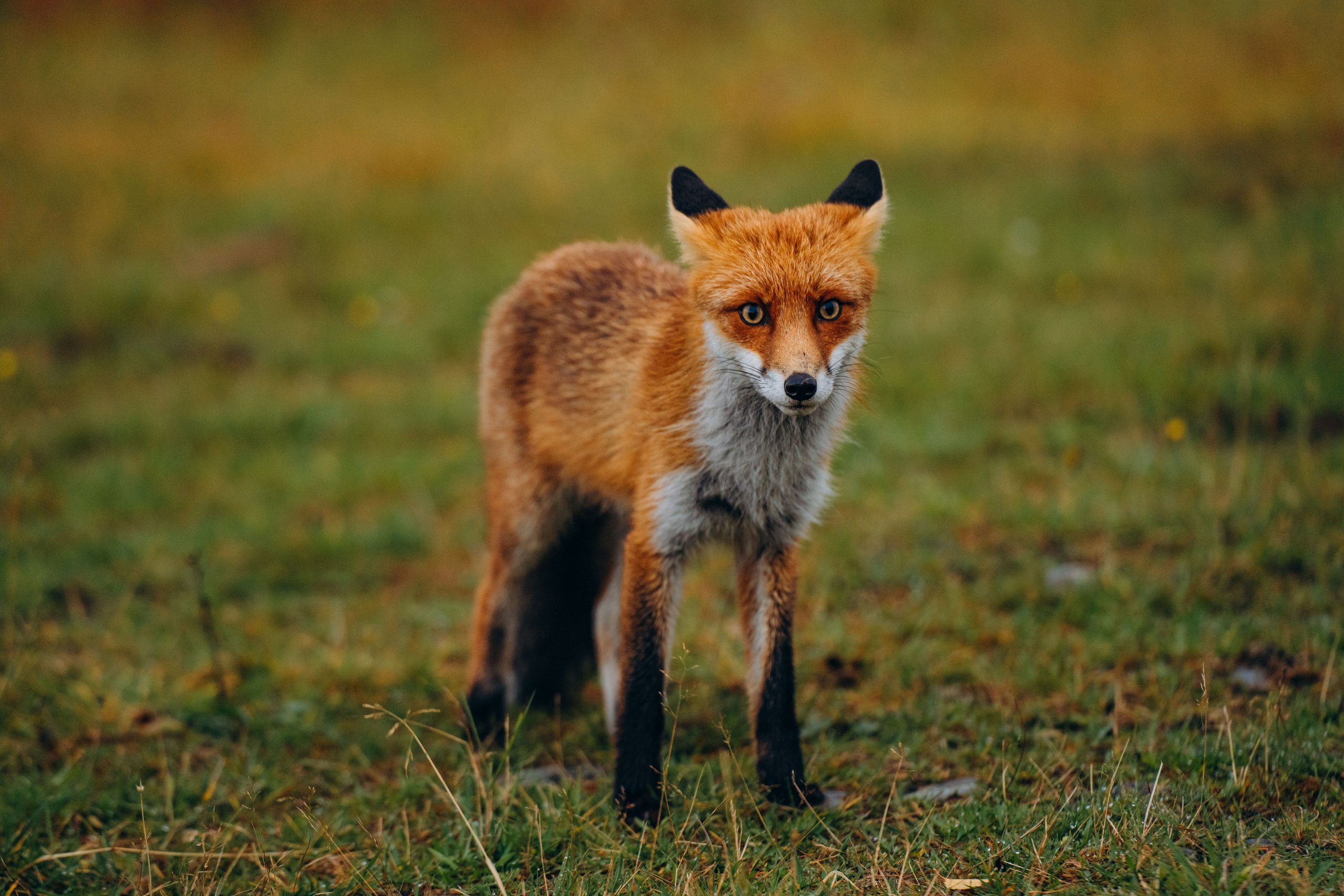 СЕВЕР. Event фотограф Степанова Александра