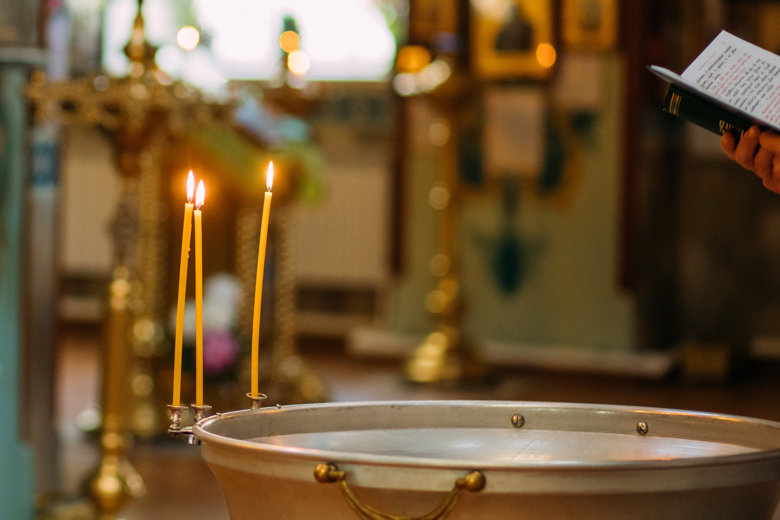 Отзывы. Женский и семейный фотограф Елена Петрова