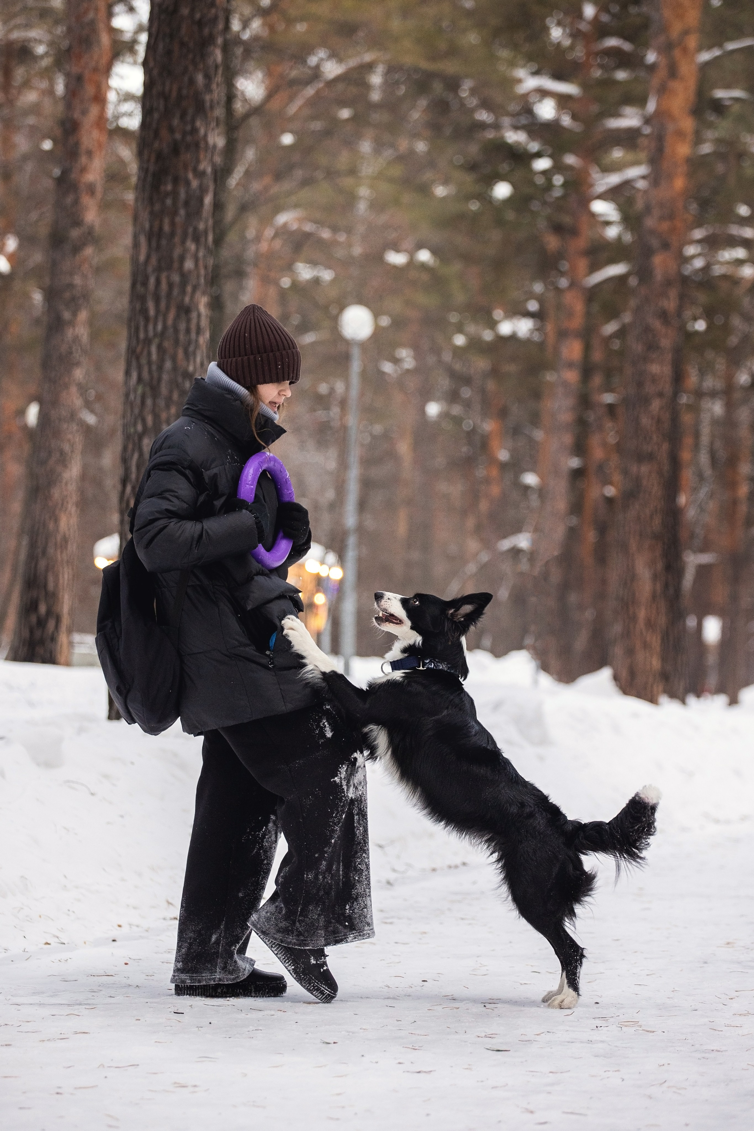 Арина и Грейс. YULA KOLESOVA | Фотограф — Анималист | Художник | Тюмень