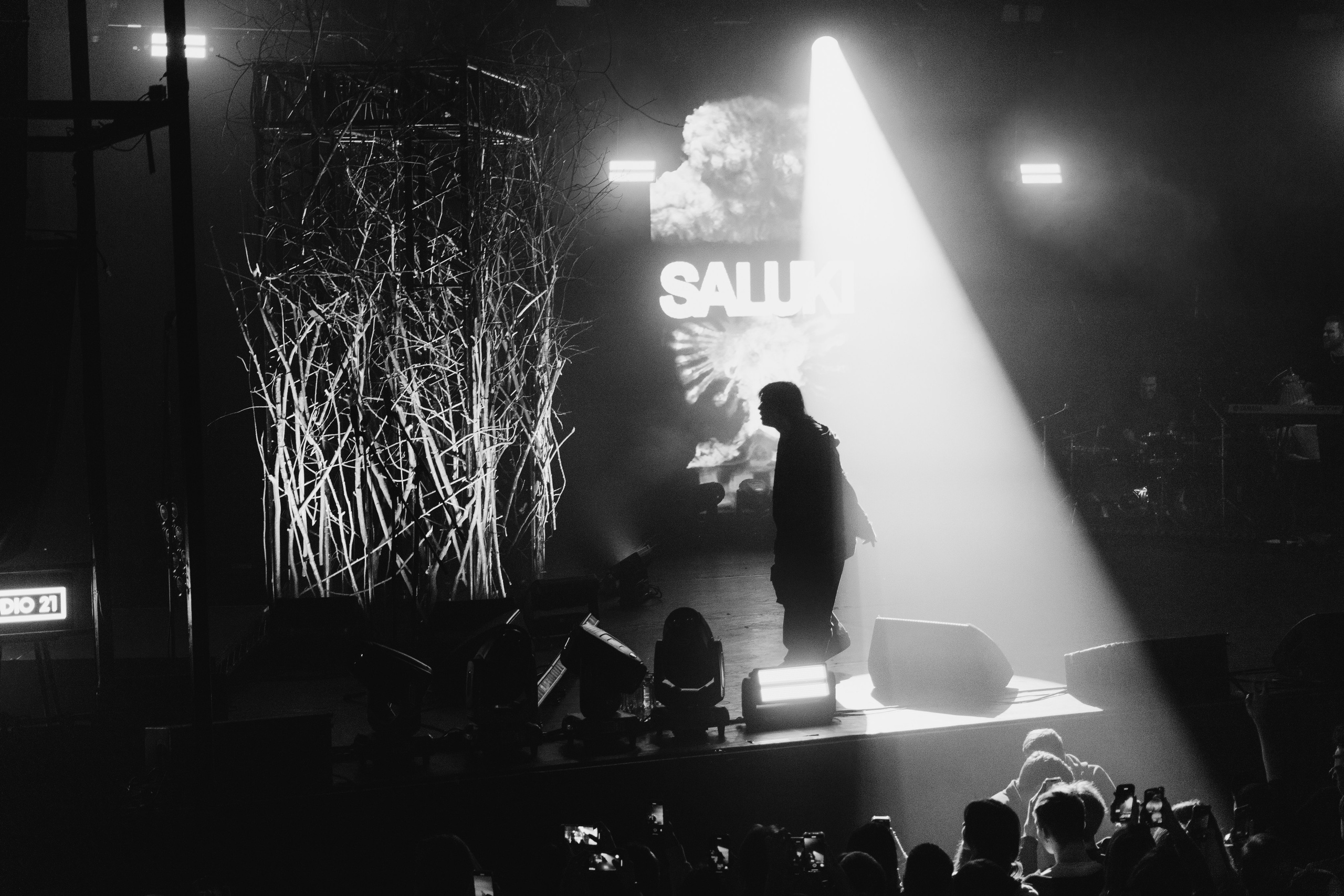 SALUKI’23. RUSLAN ROZANOV