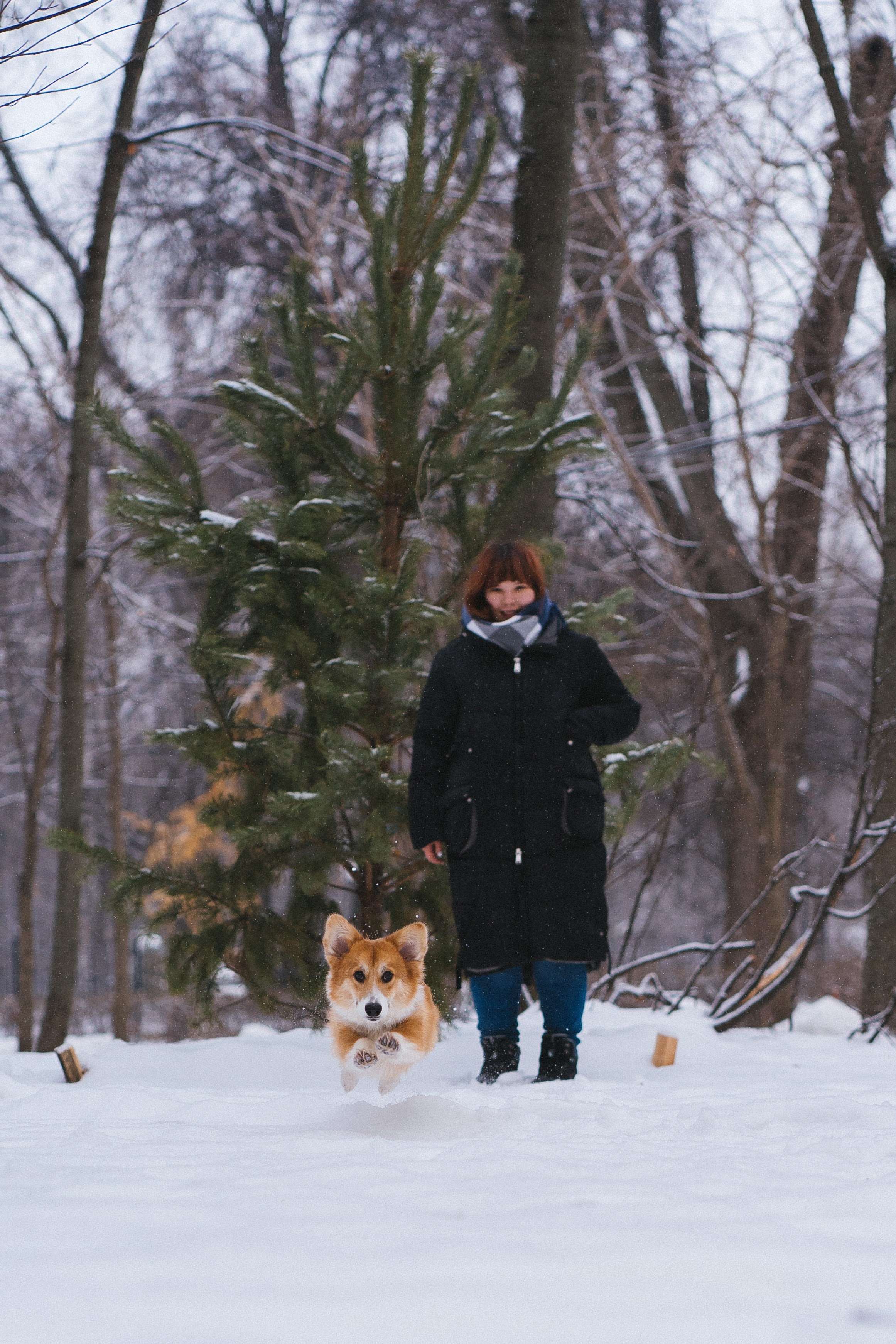 Агата и Лайк. Свадебный фотограф в Москве Анна Полушина