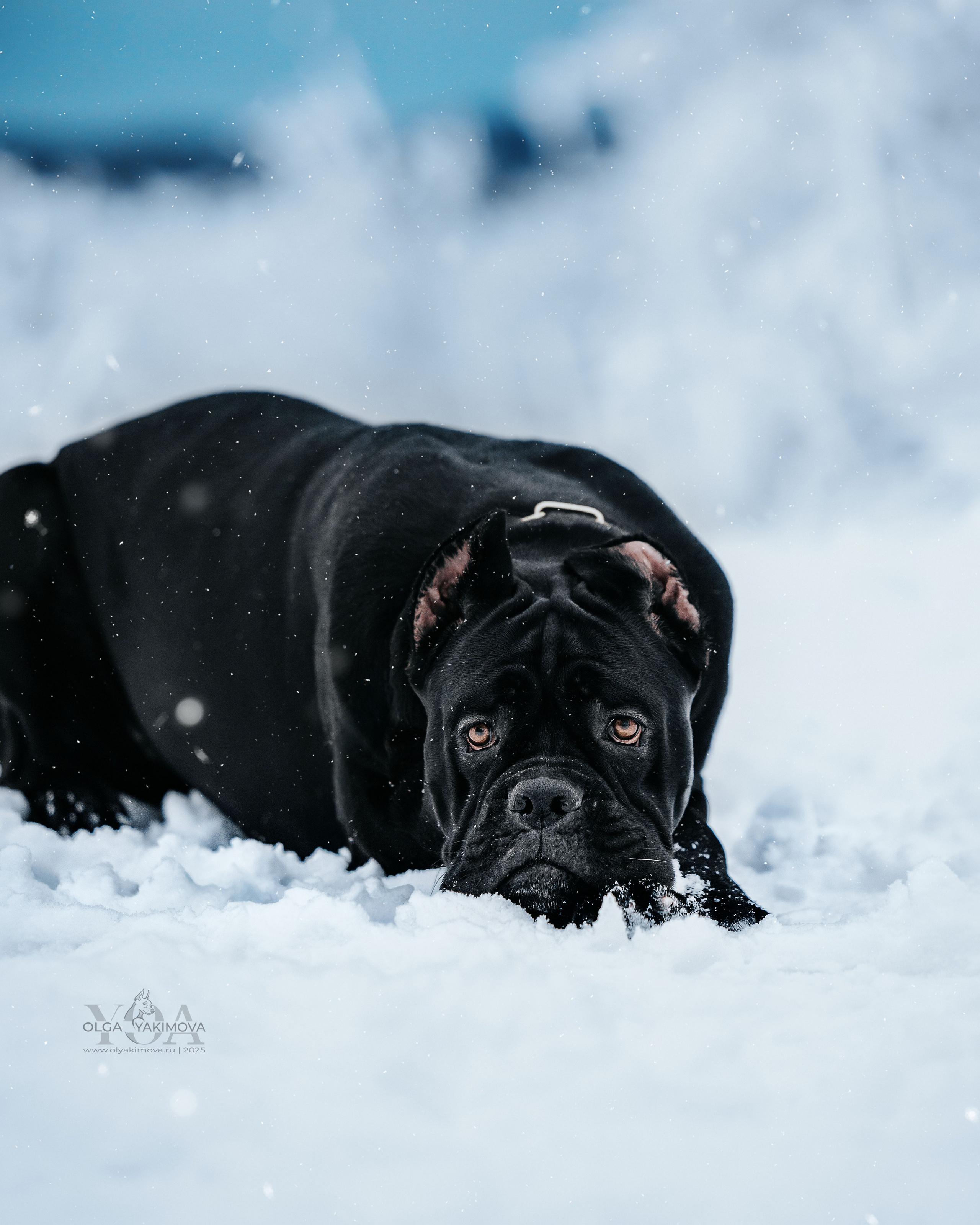 МАРИНА И САРА. Фотограф