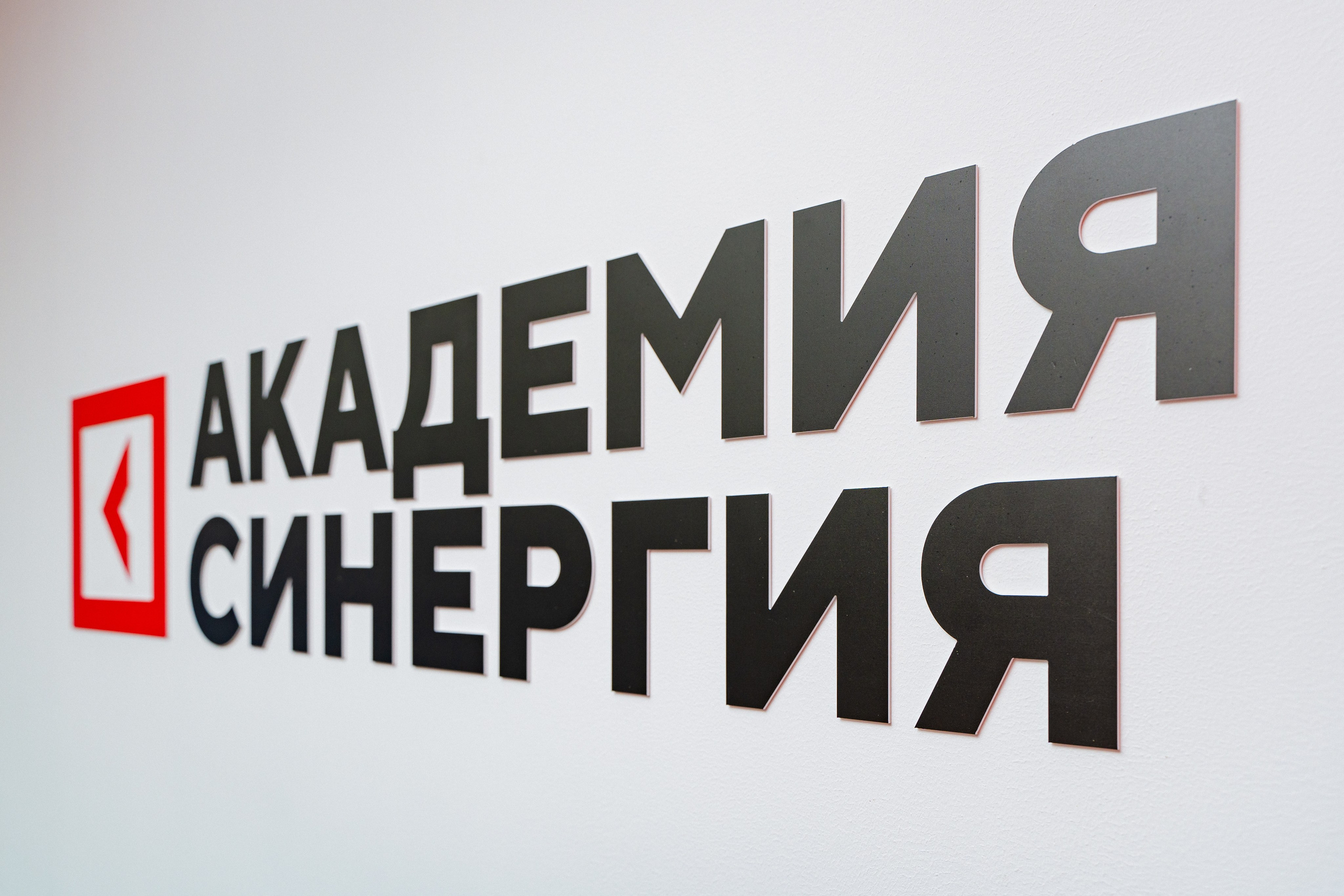 Синергия. Фотограф Мария Зайчик