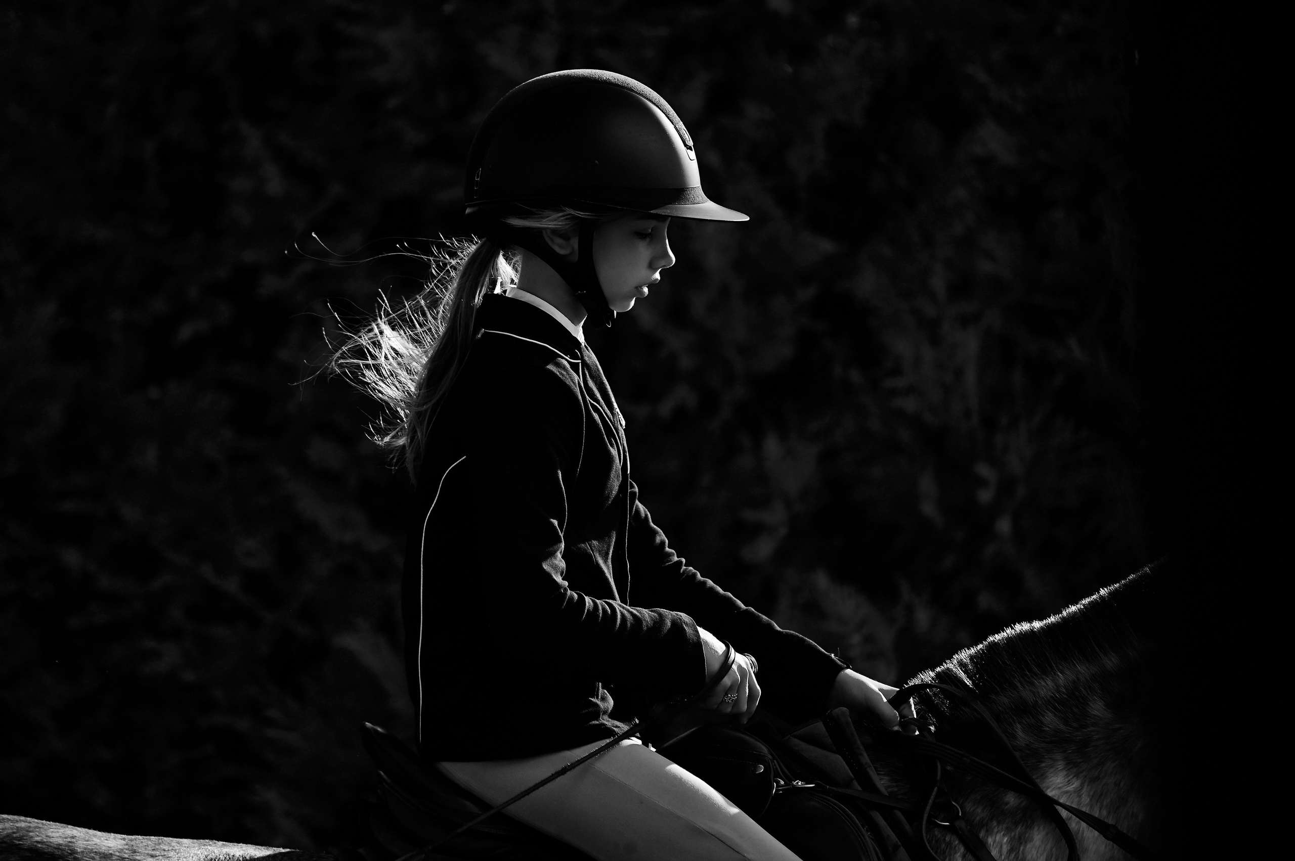 Голден. Конный фотограф Alesya Safe