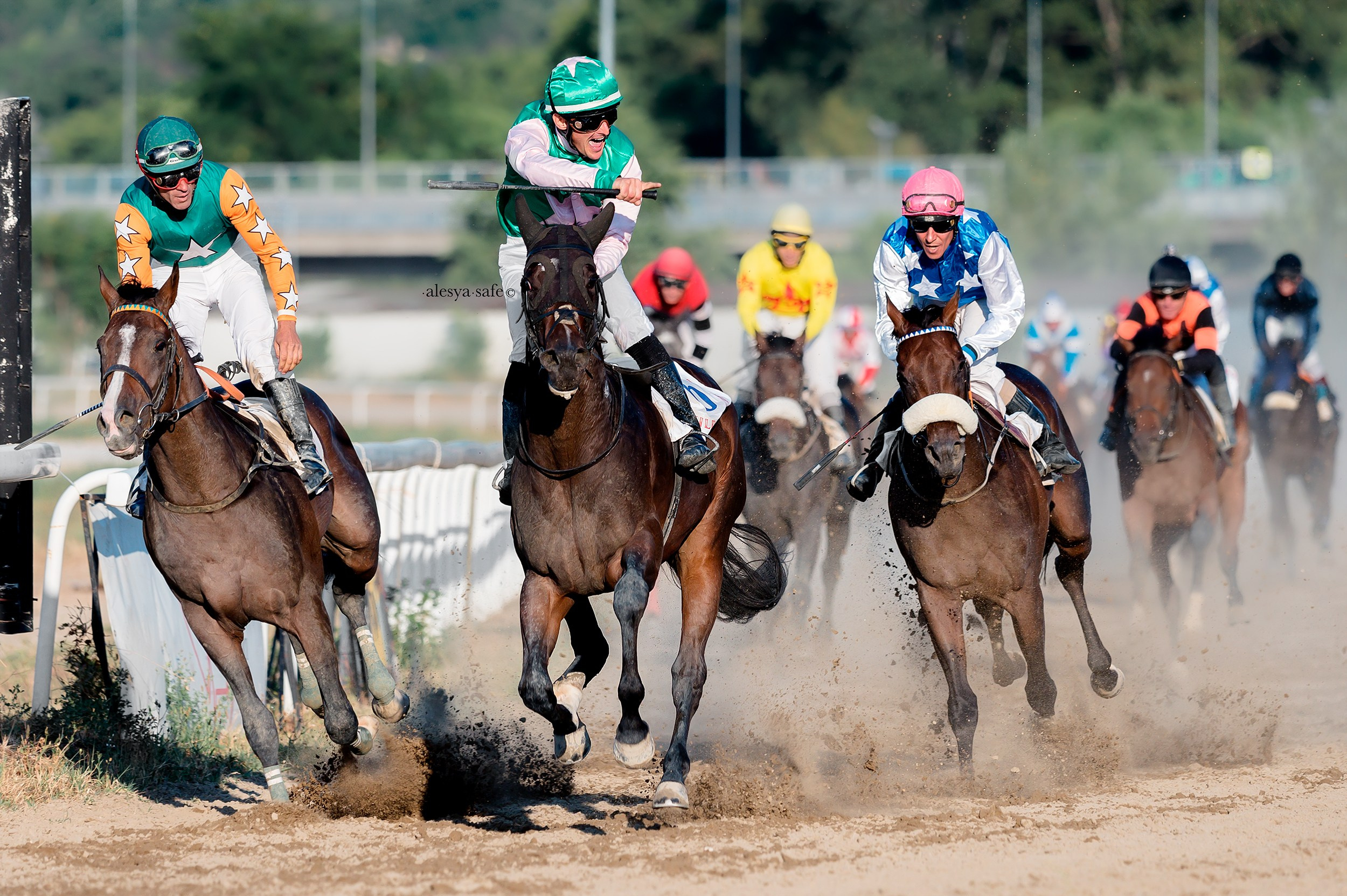 Скачки. Конный фотограф Alesya Safe