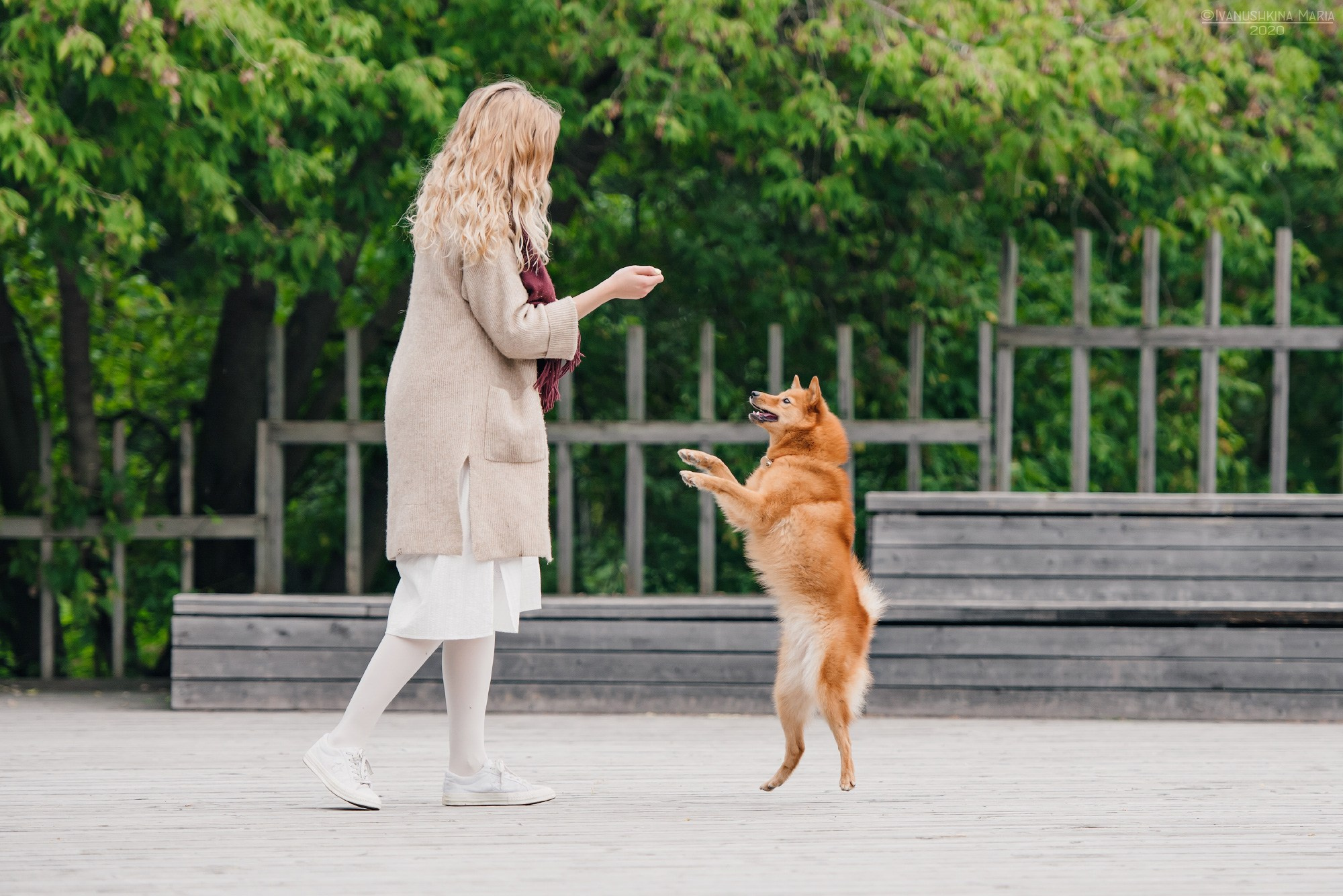 собака танцует