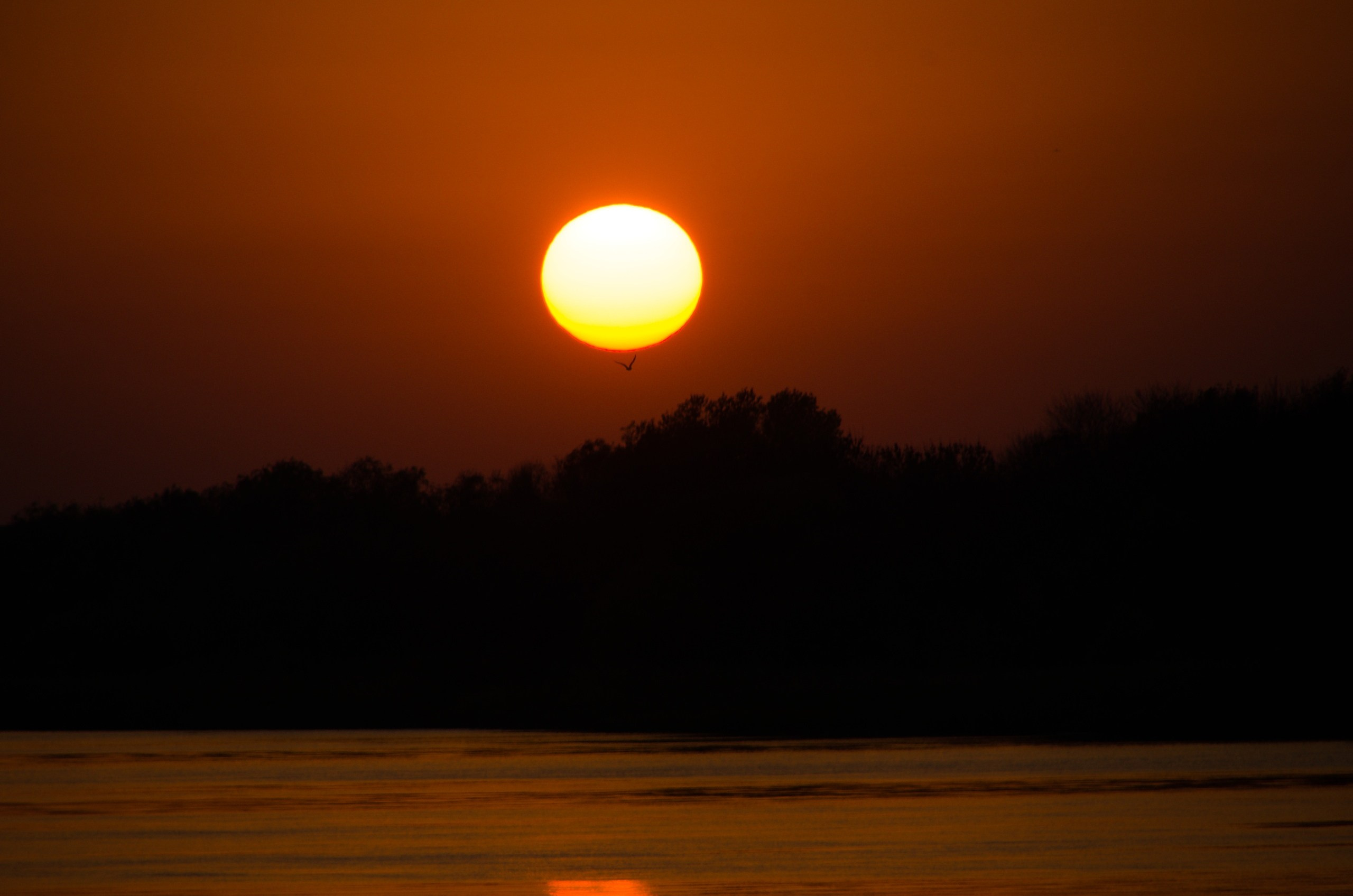 Астрахань | 17-18.10.2020. Галерея Фантим