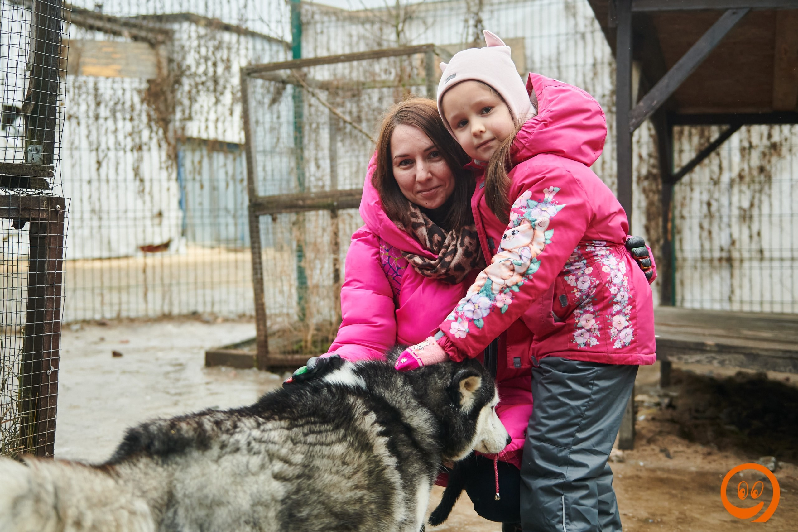 В гости к северным оленям | 18.01.2025. Галерея Фантим