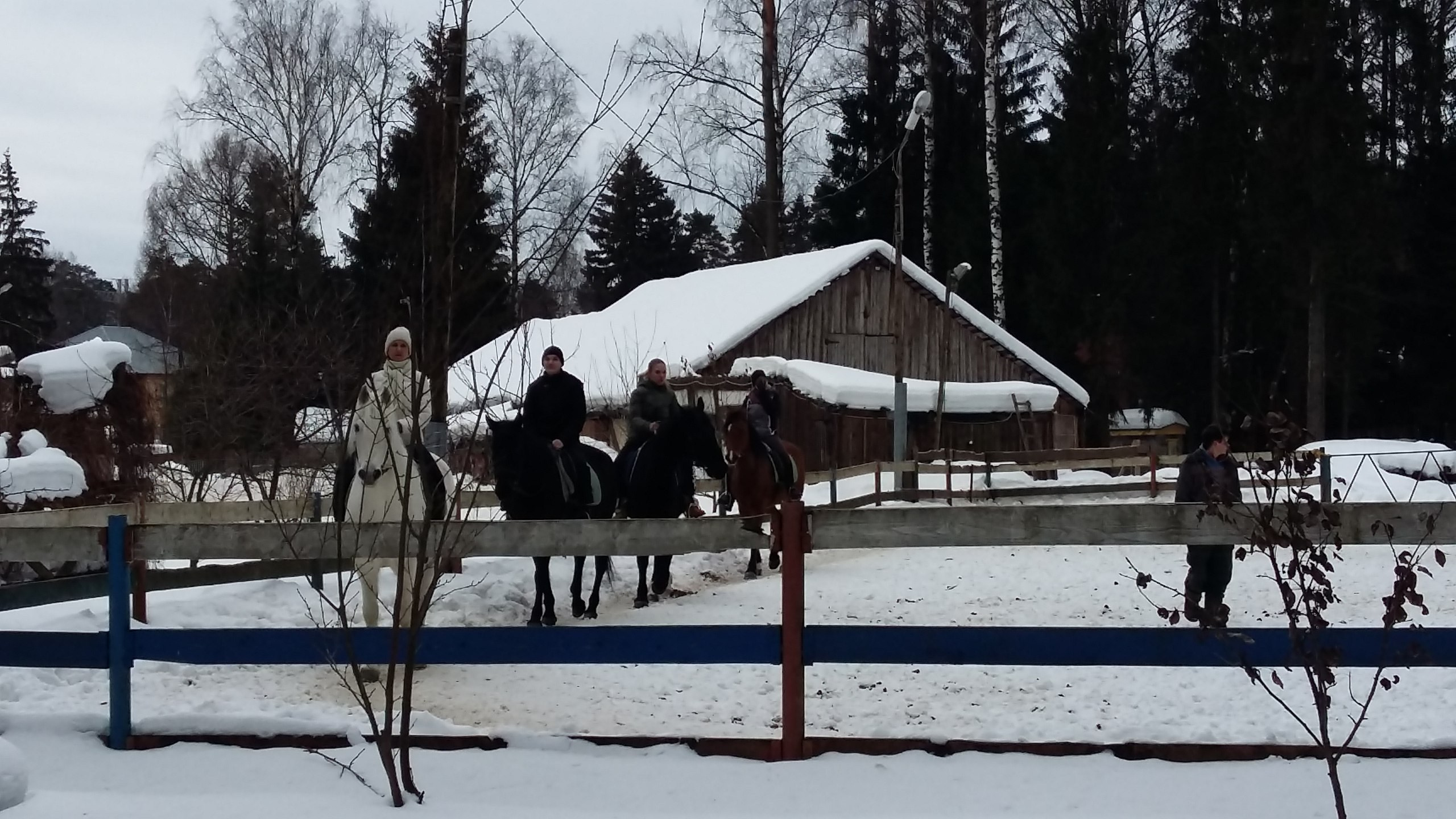 Активные выходные |18-19.02.2017. Галерея Фантим