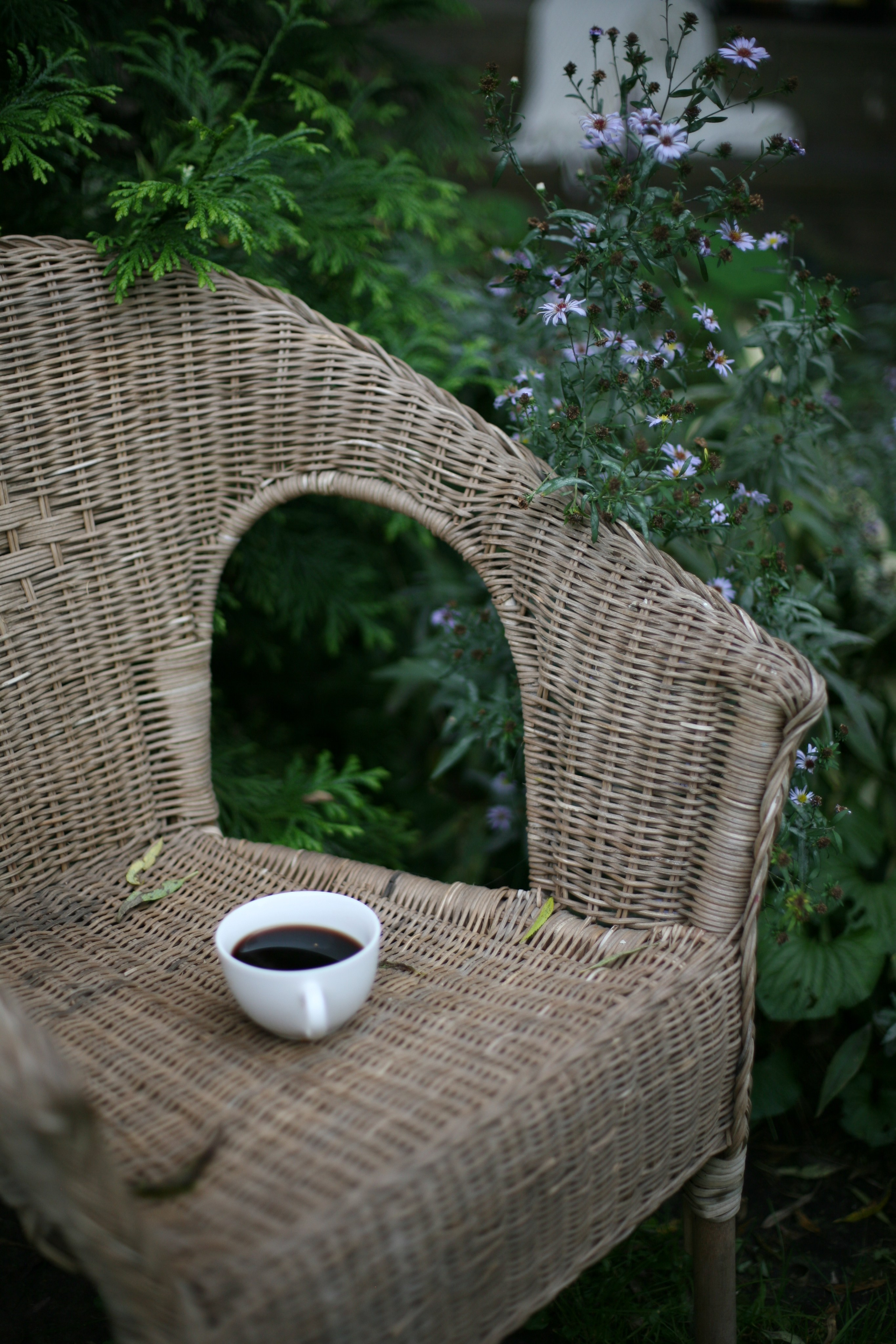 Ускользающее лето. АRТ&PSY | Искусство психологии