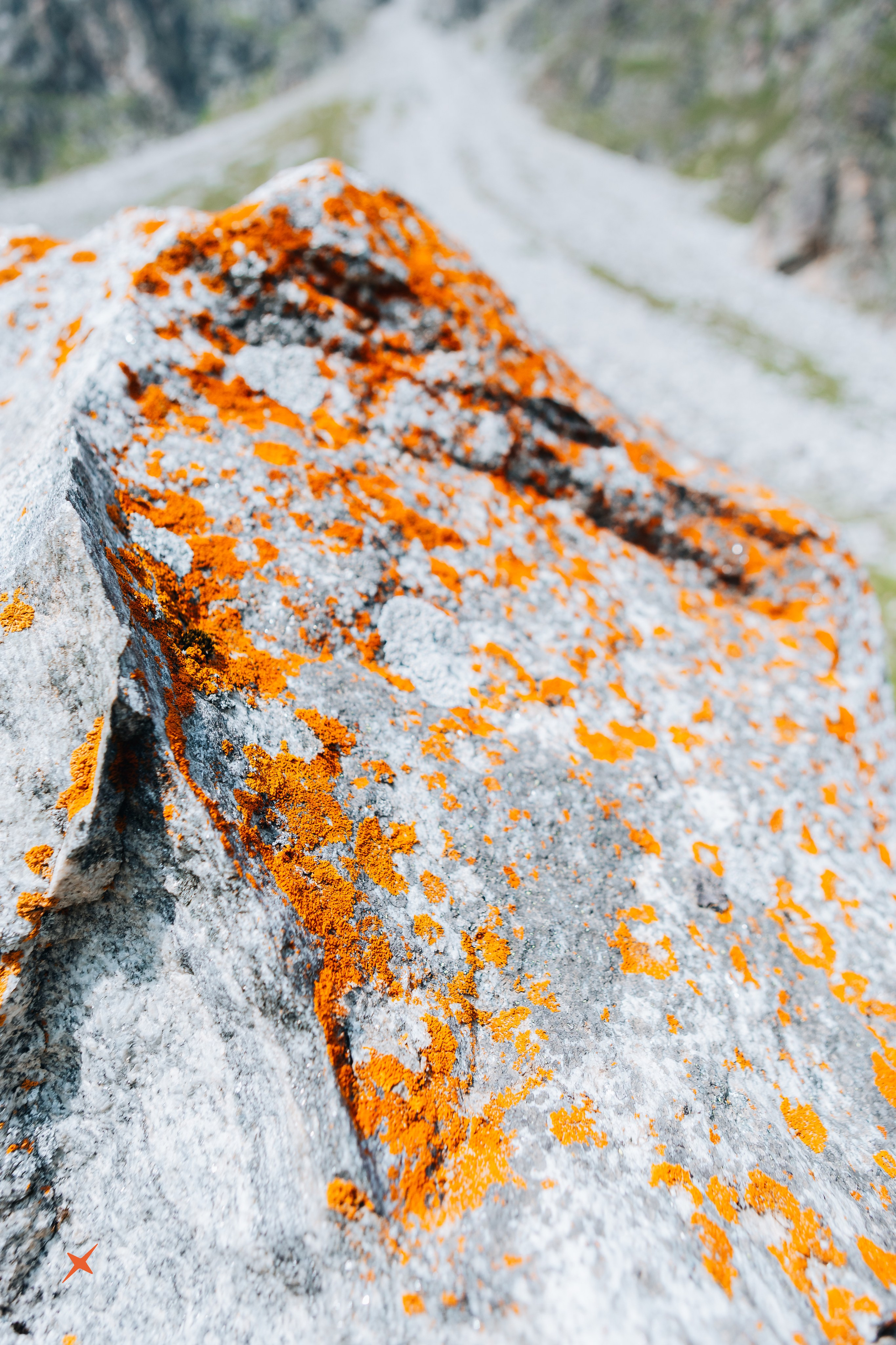 Безенги 4Sklona. Портреты и лайфстайл в Краснодаре