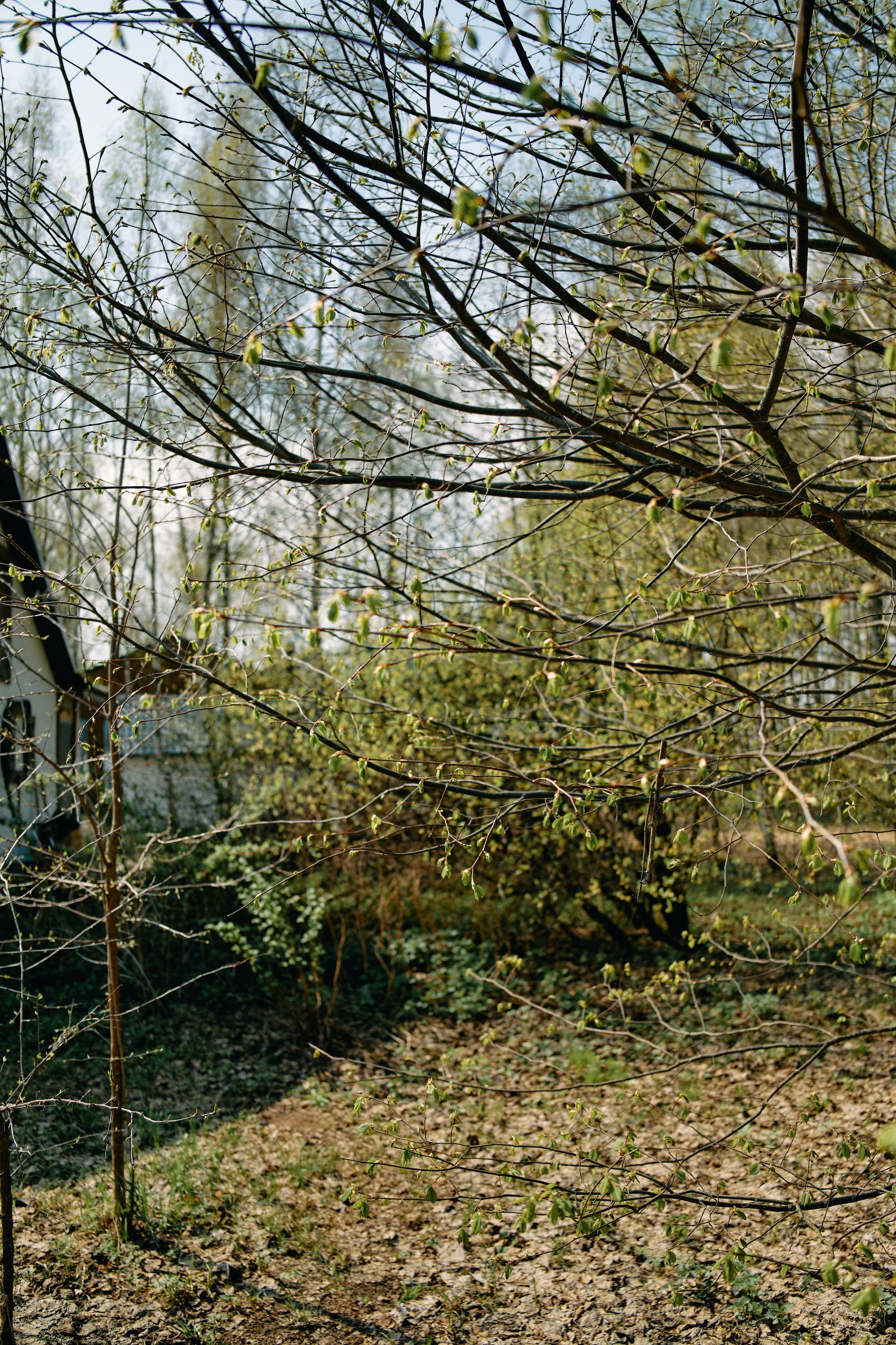 Бутик-отель Поле летом. Профессиональный Фотограф во Владимире, в Москве и в Суздале — Полина Романычева