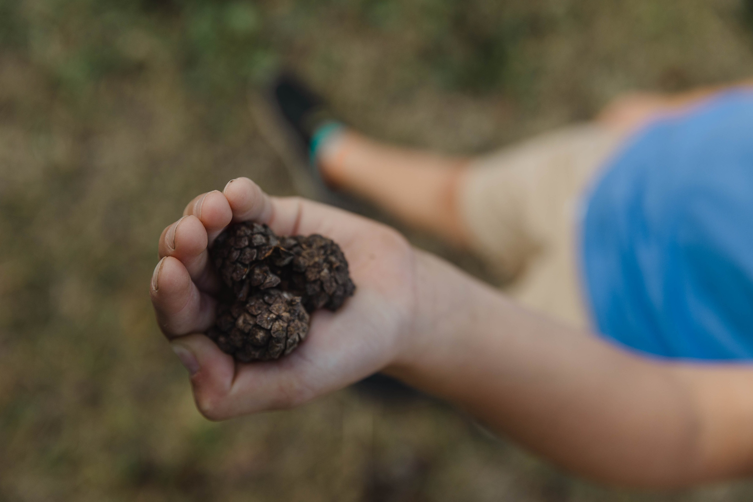 Вместе веселей. Свадебный и семейный фотограф в Карелии