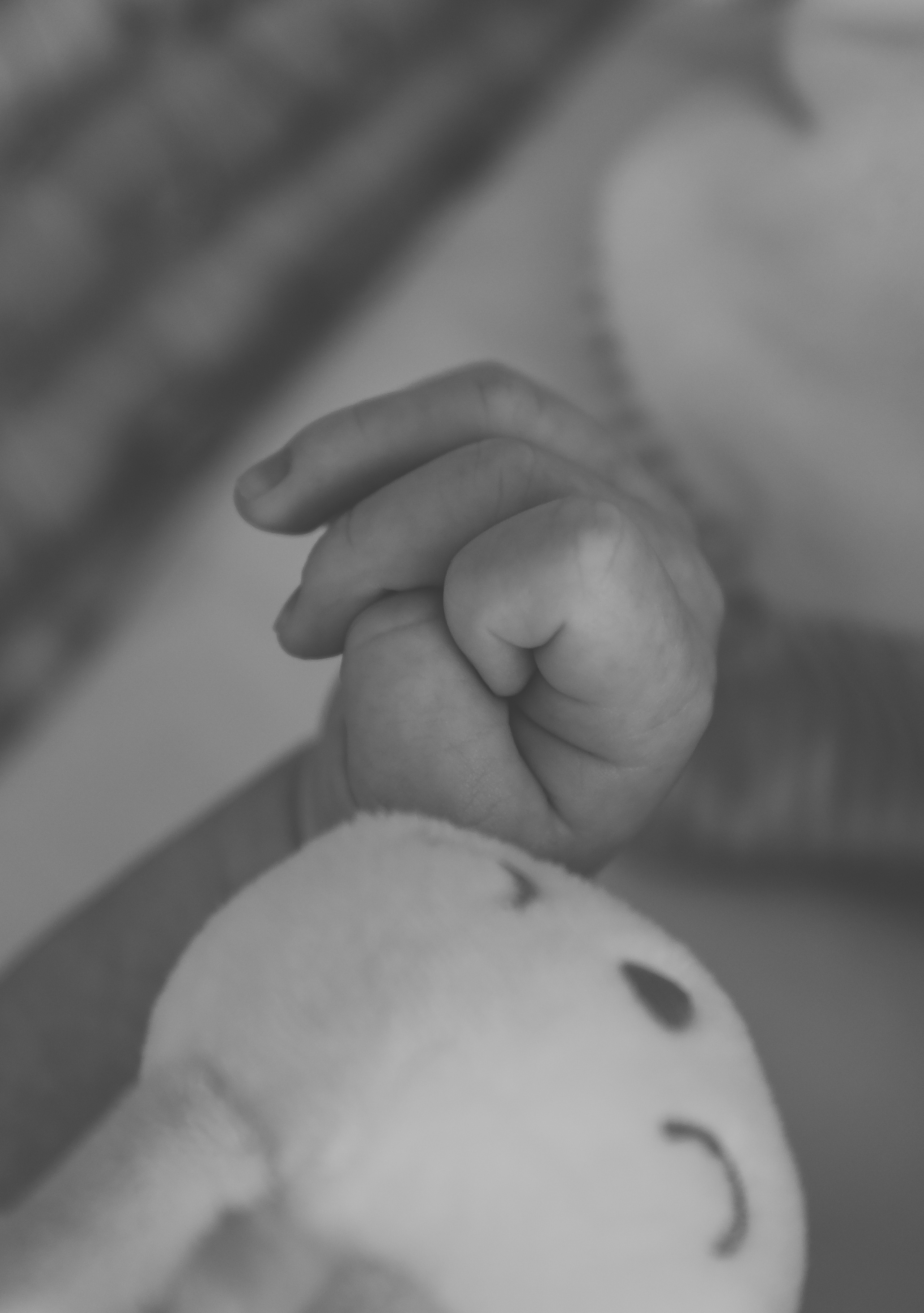 ПЁТР. Свадебный и семейный фотограф