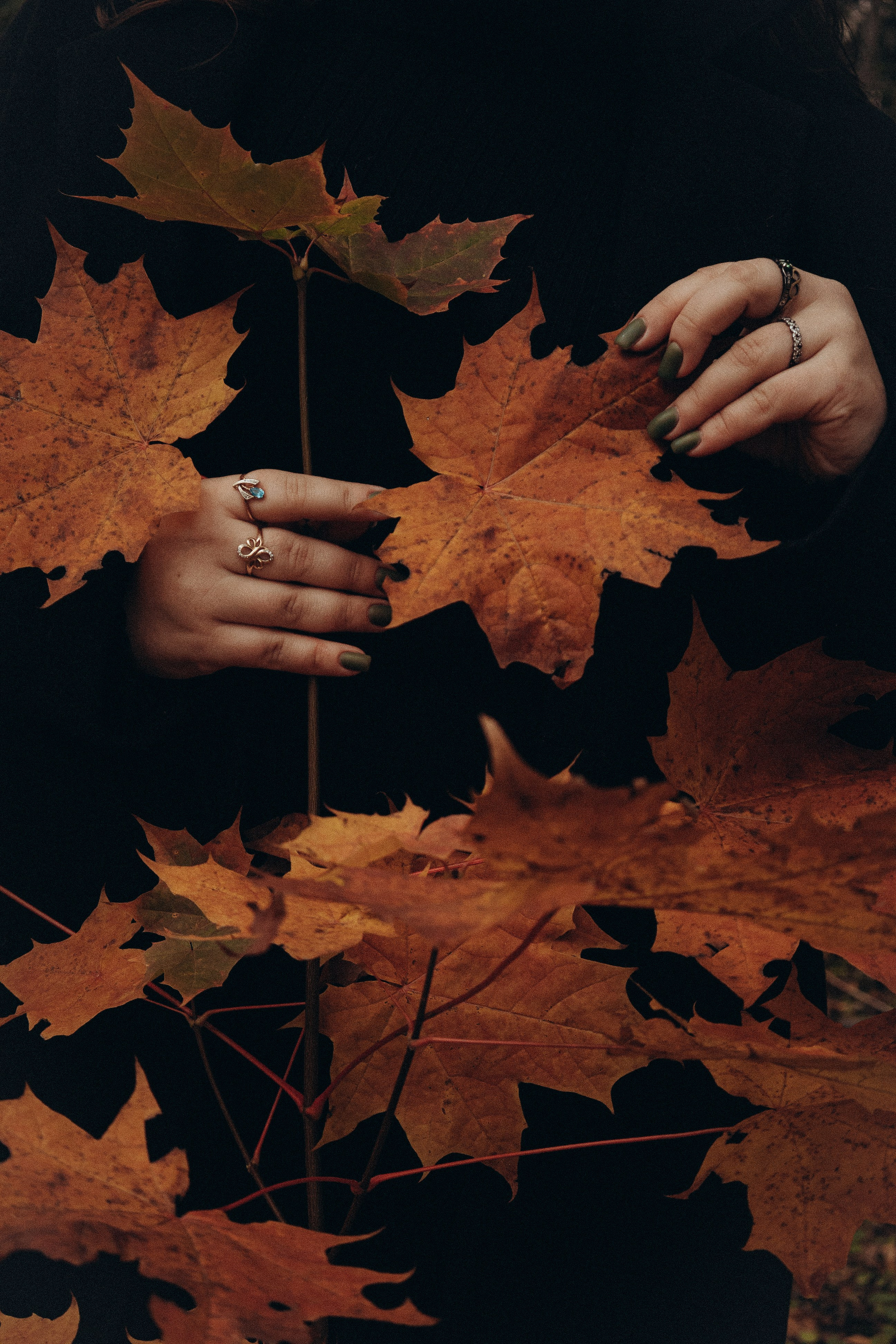 Настя. Фотограф Москва Алёна Суворова