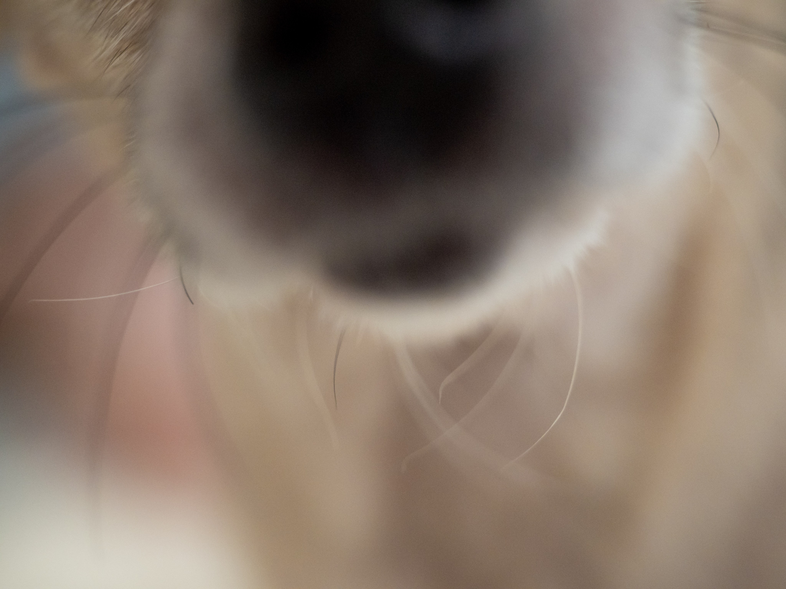 Оля и Ярослав. Фотограф в Омске Долговых Катерина