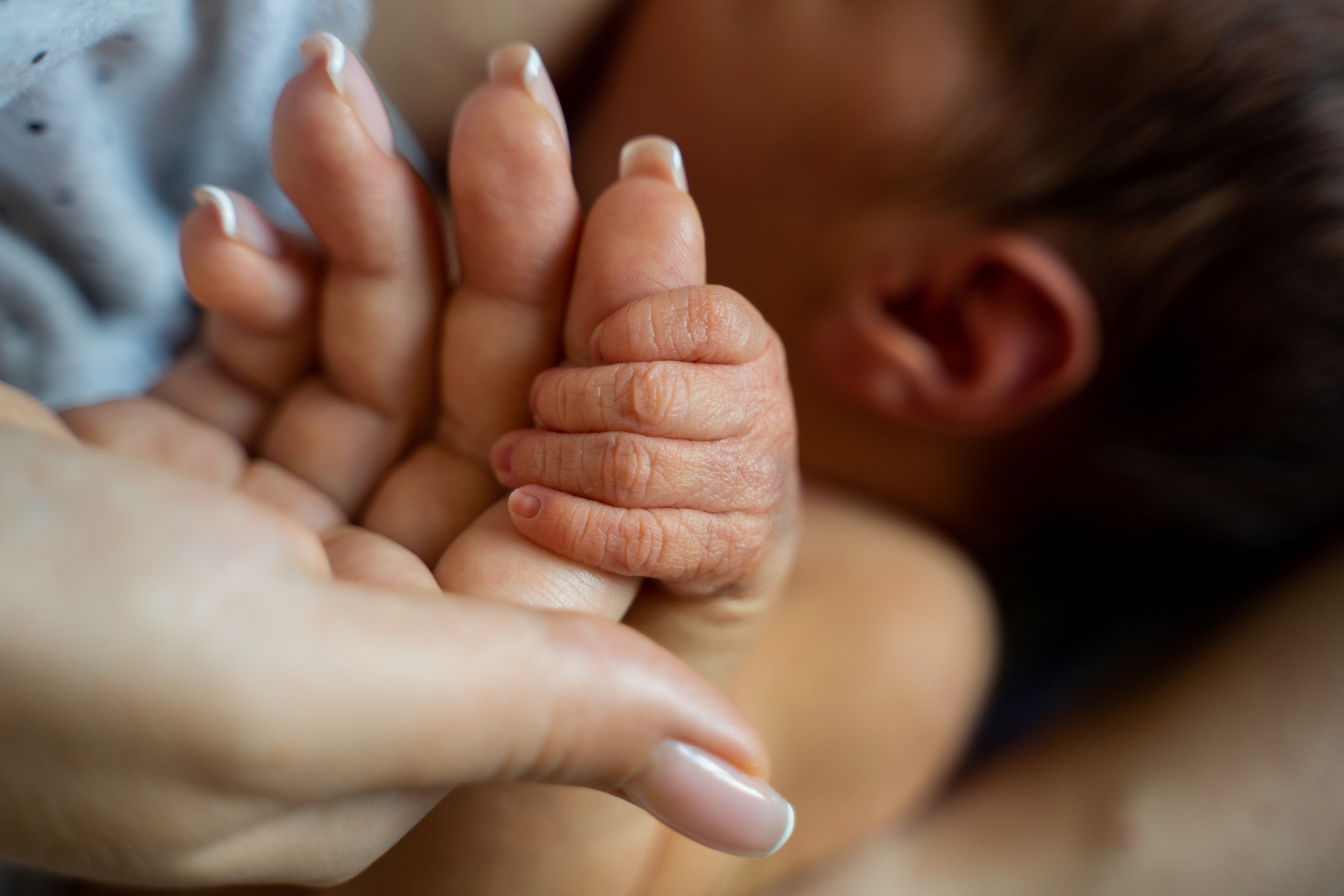 Аполлон. Фотограф на роды Москва Ольга Летучева