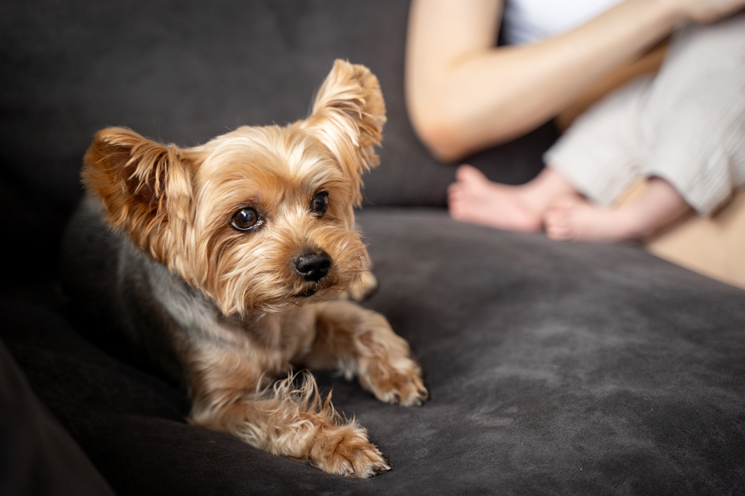 Матвей. Фотограф на роды Москва Ольга Летучева