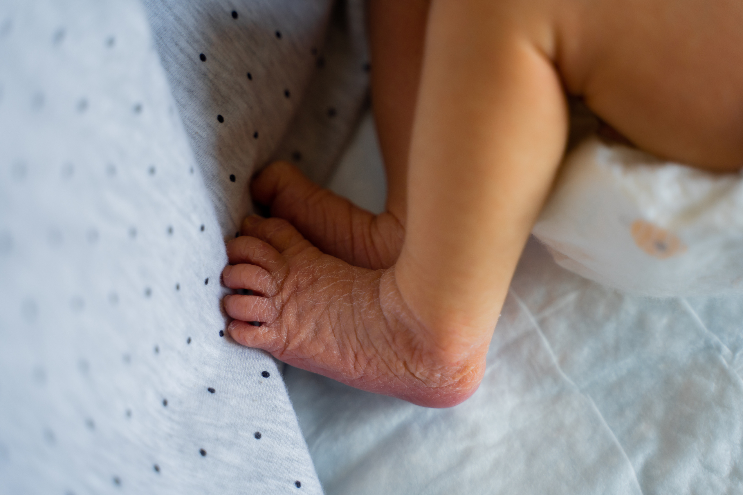 Аполлон. Фотограф на роды Москва Ольга Летучева