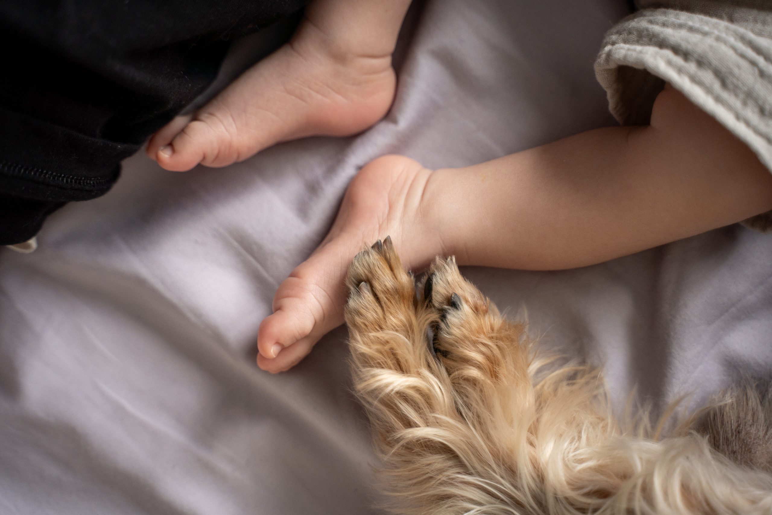 Матвей. Фотограф на роды Москва Ольга Летучева