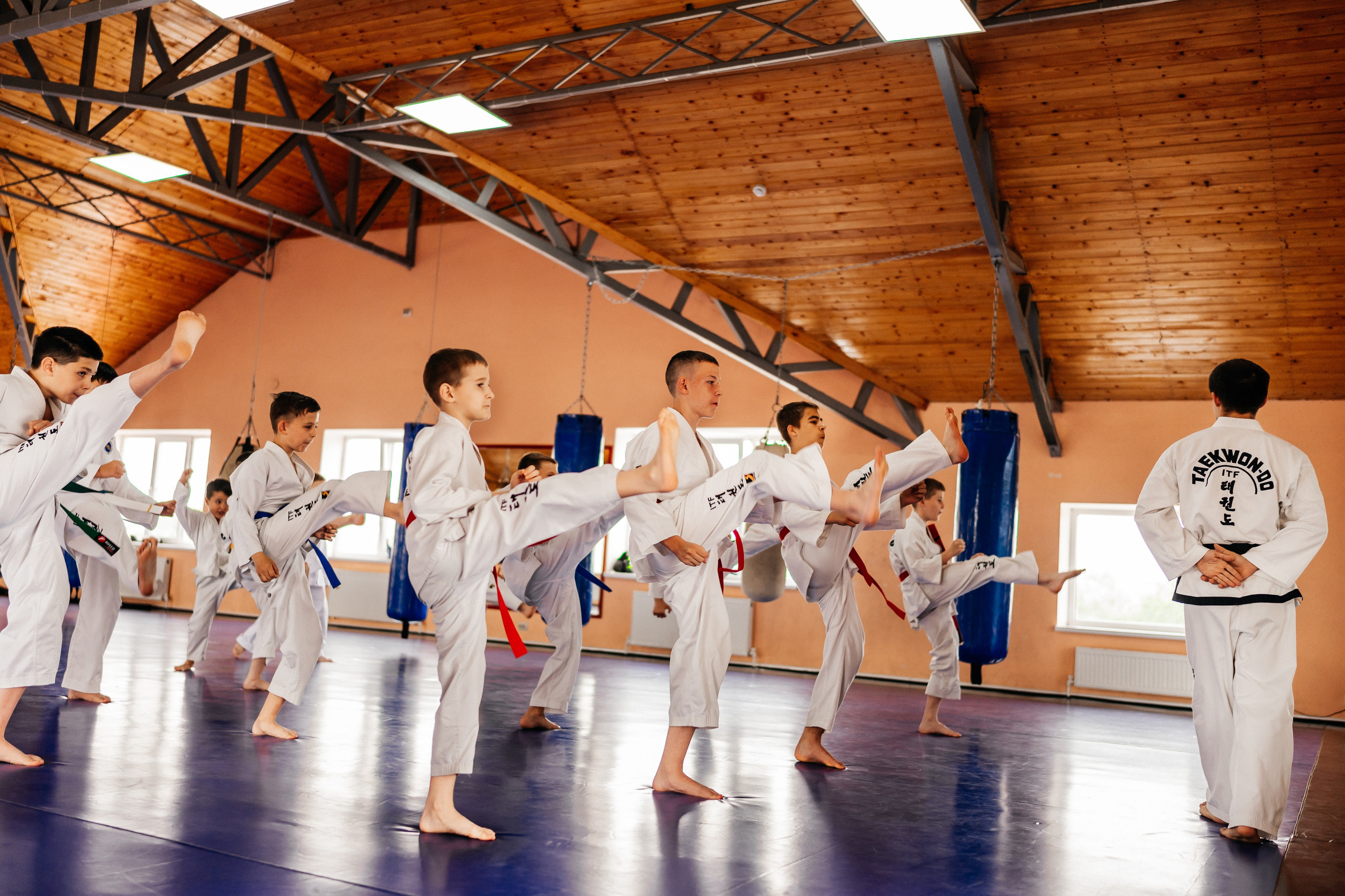 Съемка спортивных мероприятий. Taekwondo/2023. Семейный фотограф в Москве Ирина Жур