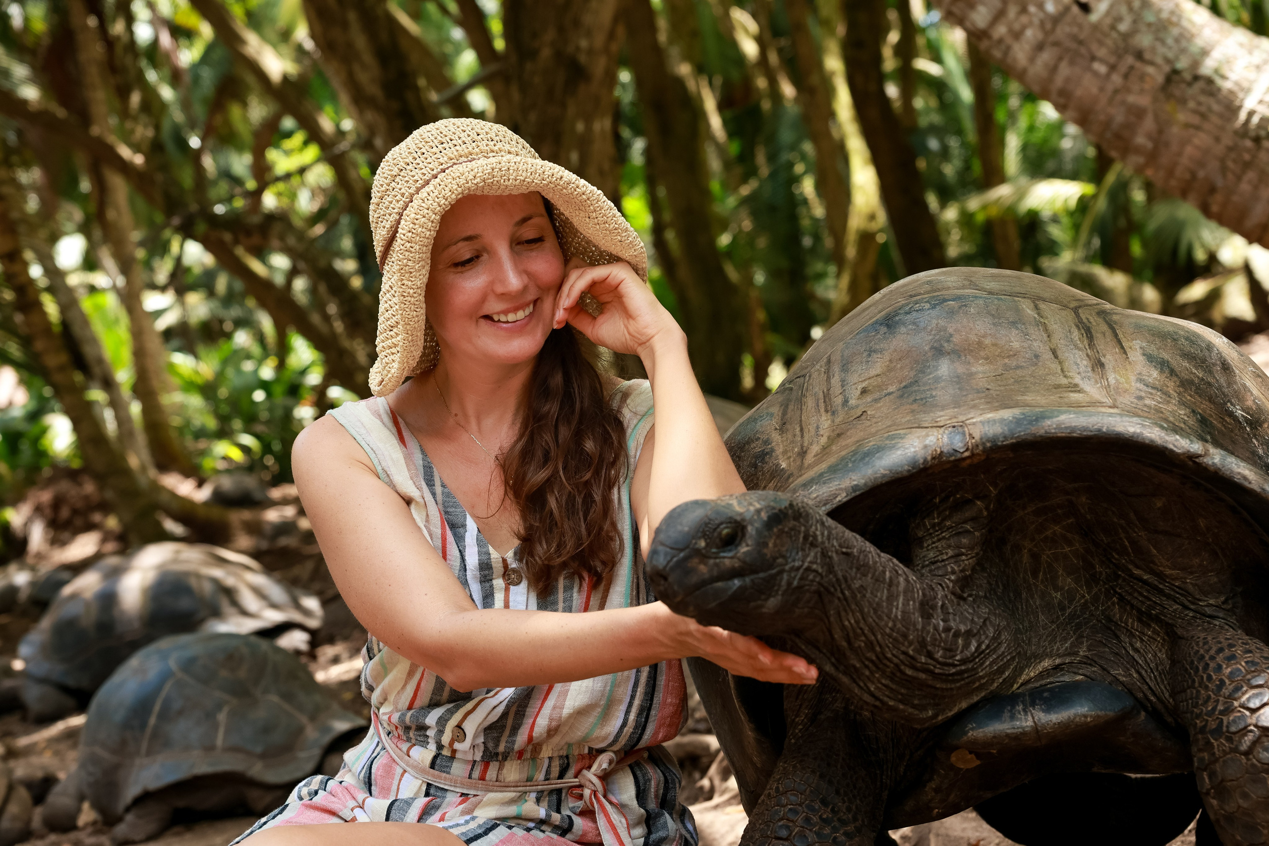 Сейшелы. Дарья Бухреева — фотограф, видеограф и фототерапевт. Москва и мир