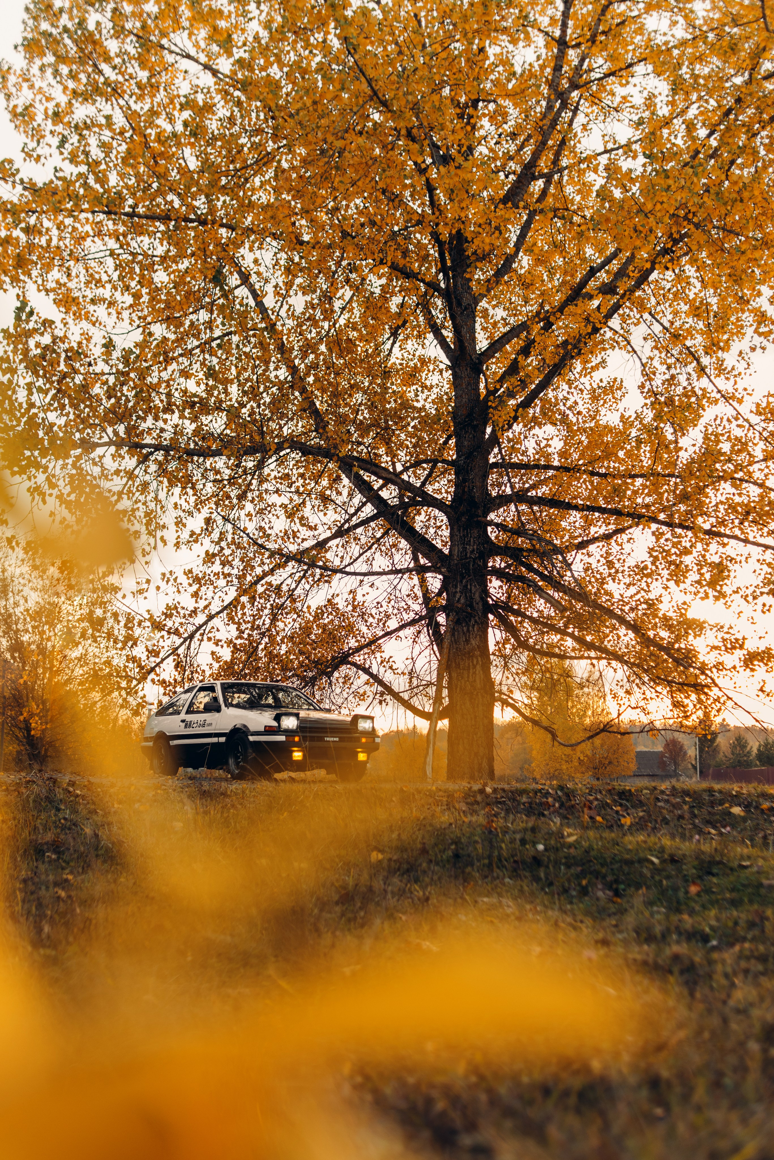 Toyota AE86 dxtakk. DeLorein