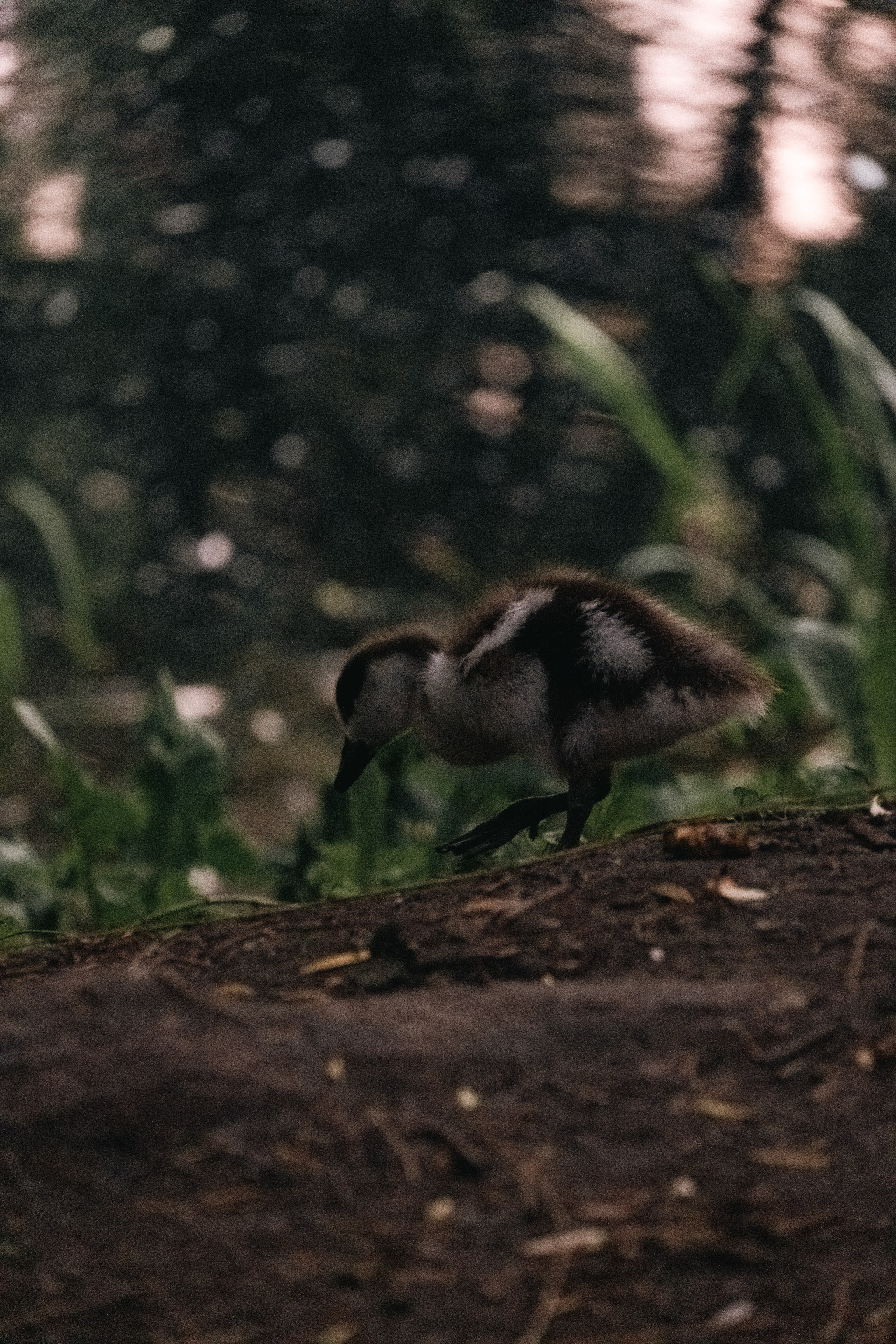 Moscow Selection. M. Neizvestniy — уличная и спортивная фотография