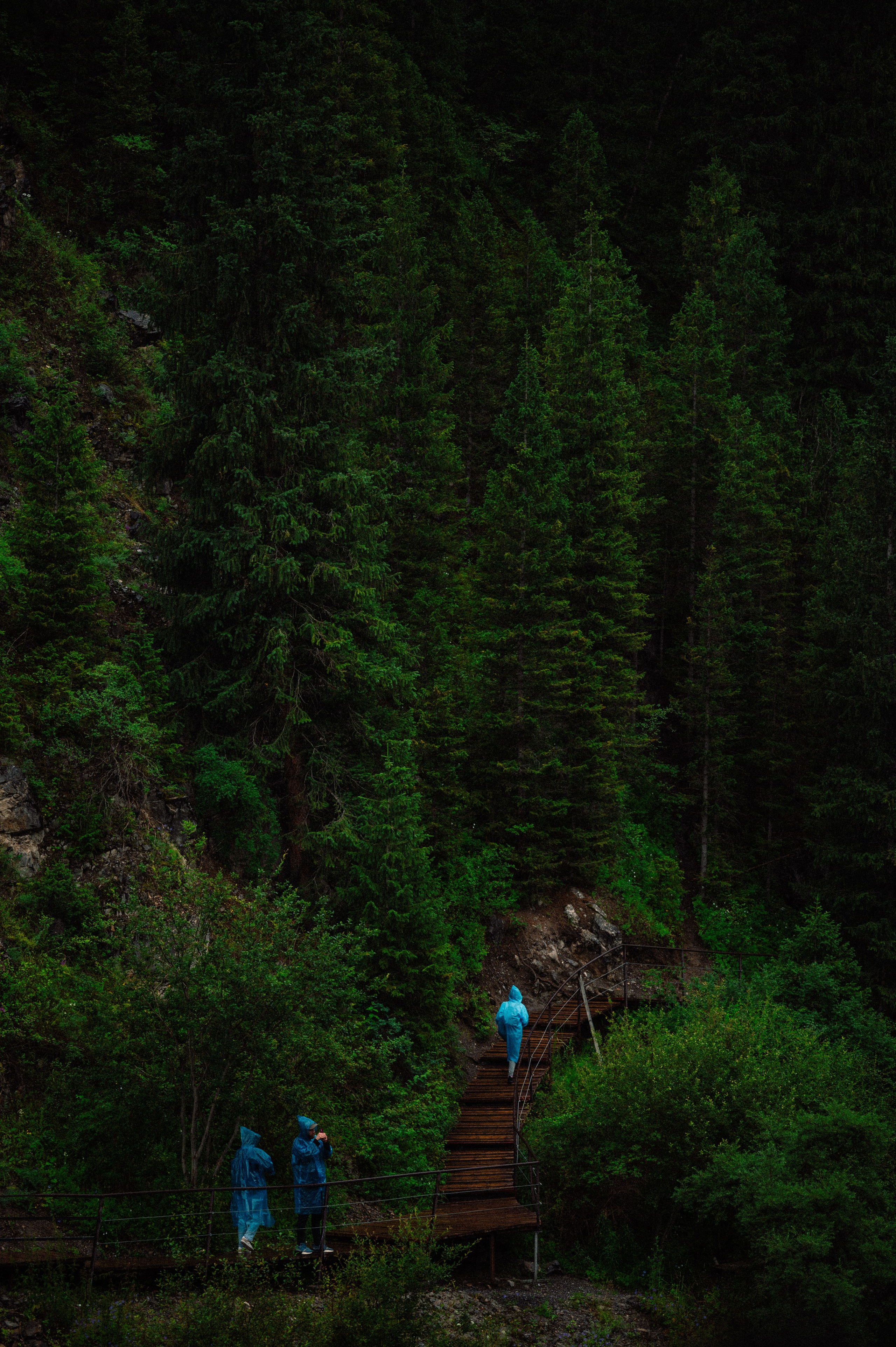 Чарын-Кольсай: лето 2024. Фотограф в Алматы — Дарья Фёдорова