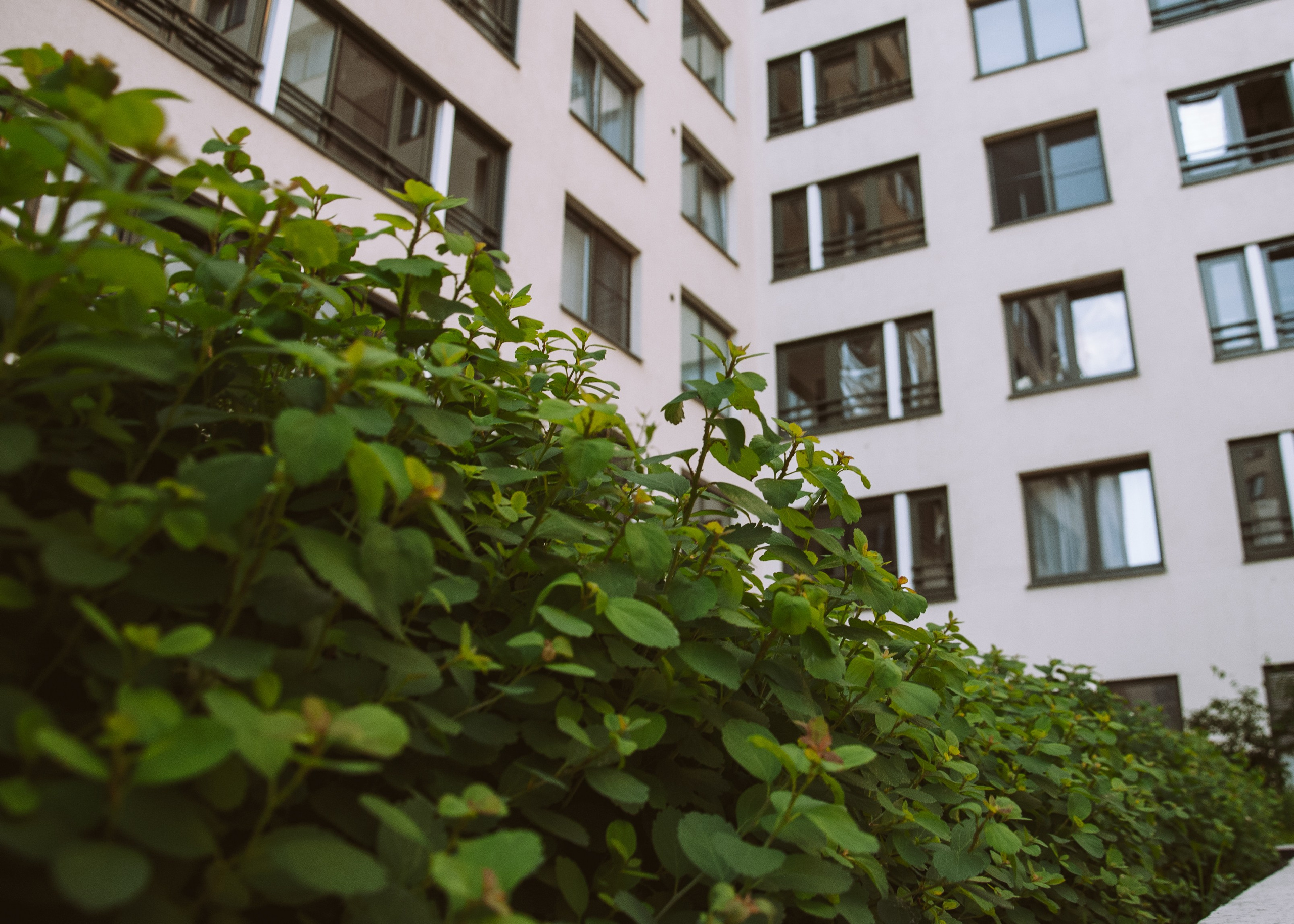 Питер. Портретный фотограф DanilNabody