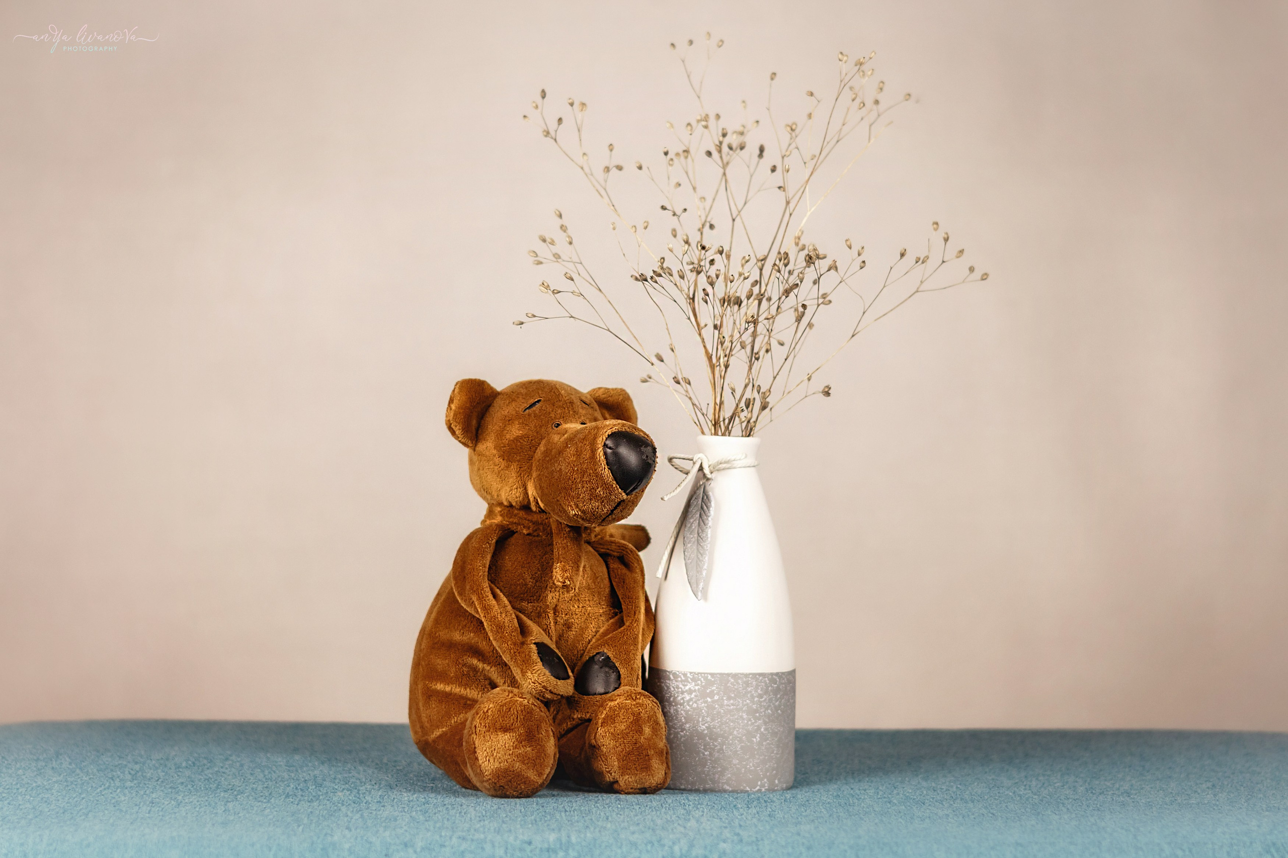 Светлый фон. Фотограф анималист Аня Ливанова | Рыбинск