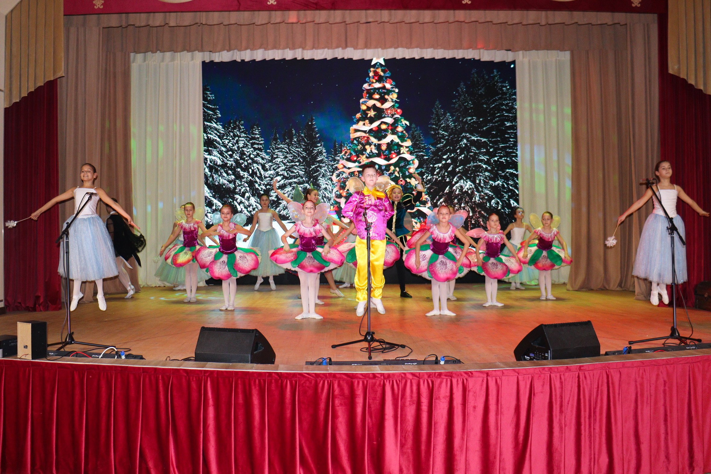 Новогодний концерт Шишли-Мышли