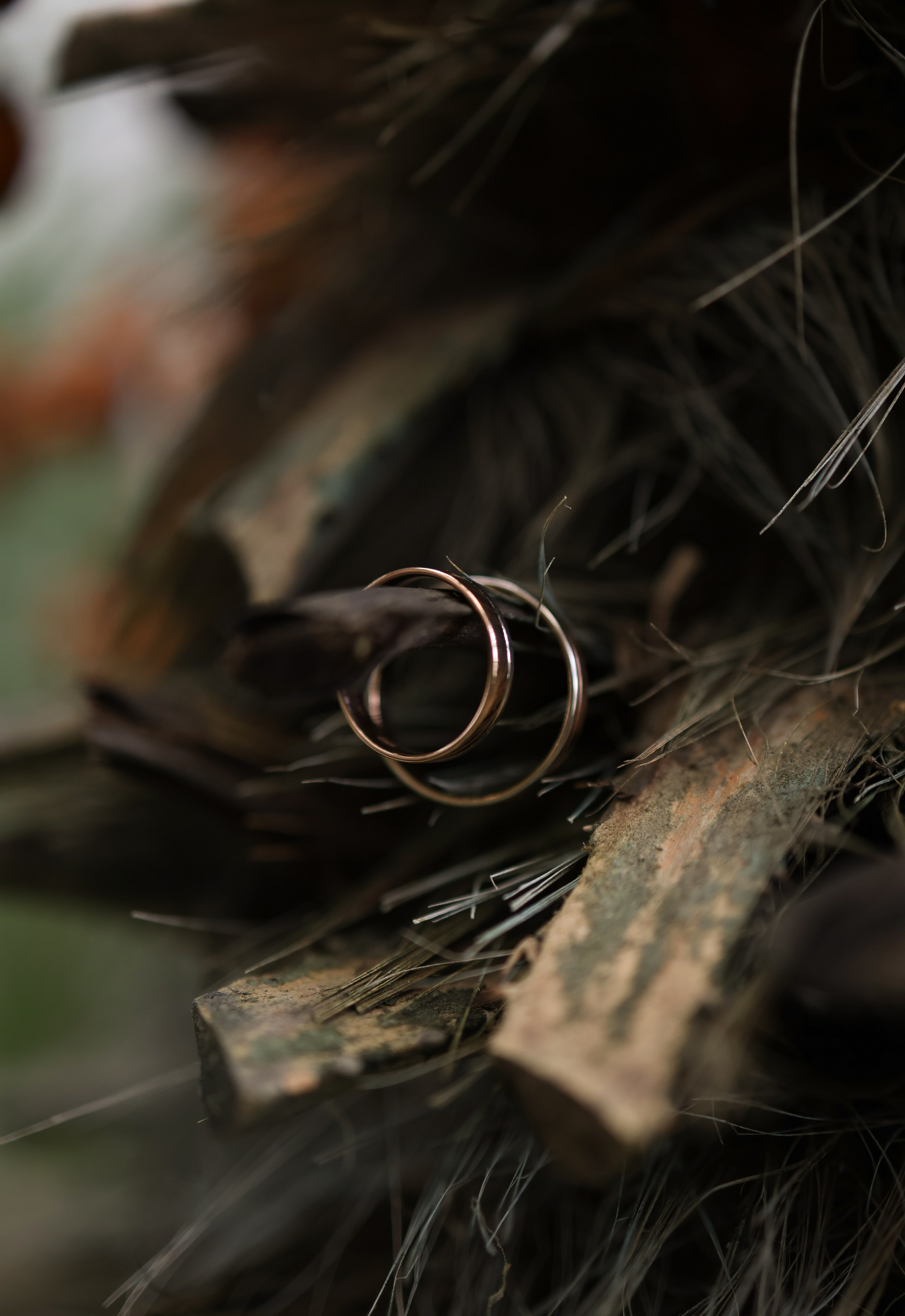 Алексей и Ксения. Фотограф и видеограф в Москве Полина Абраменкова