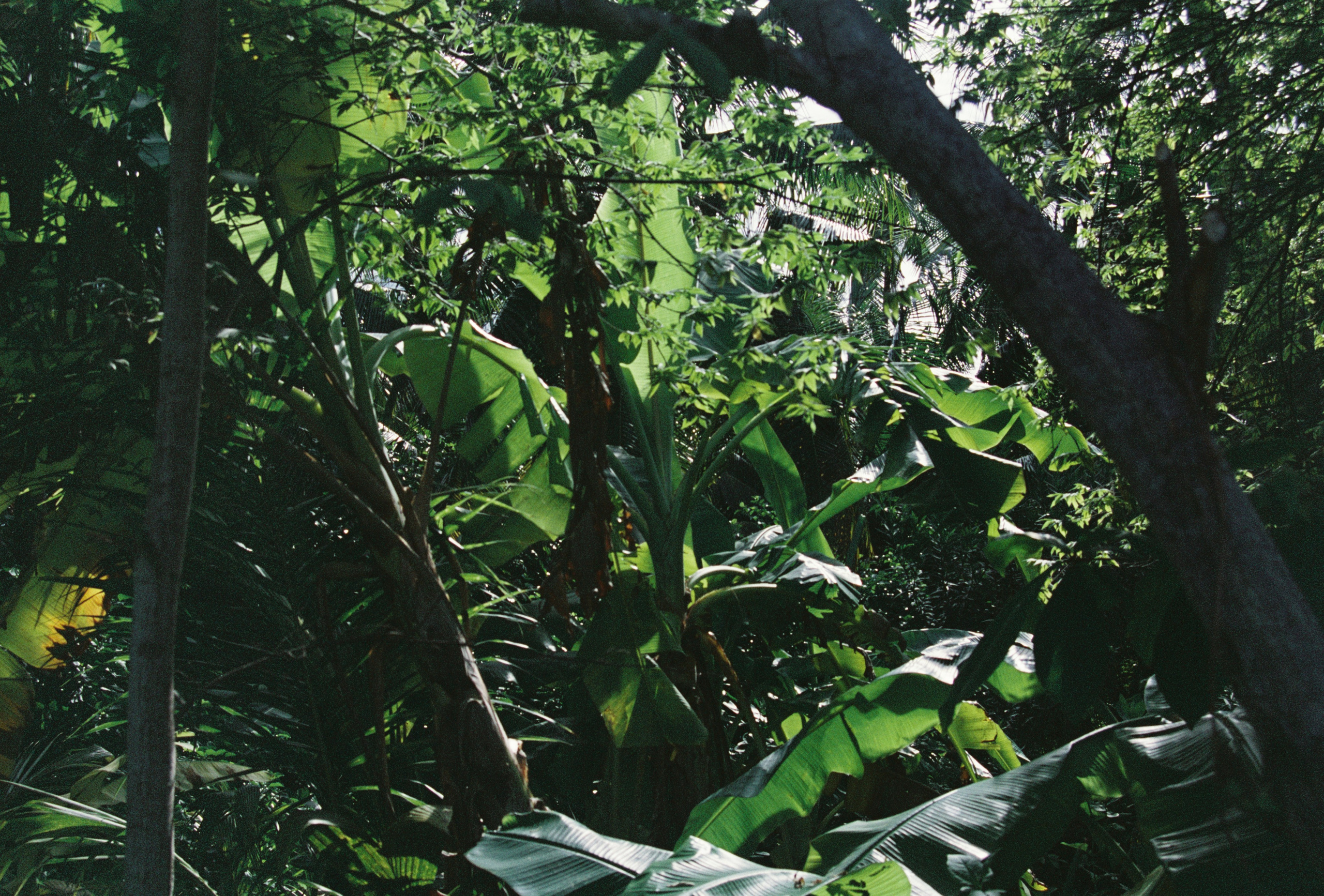 MALDIVES&BAHRAIN. ANNA — PHOTOGRAPHER