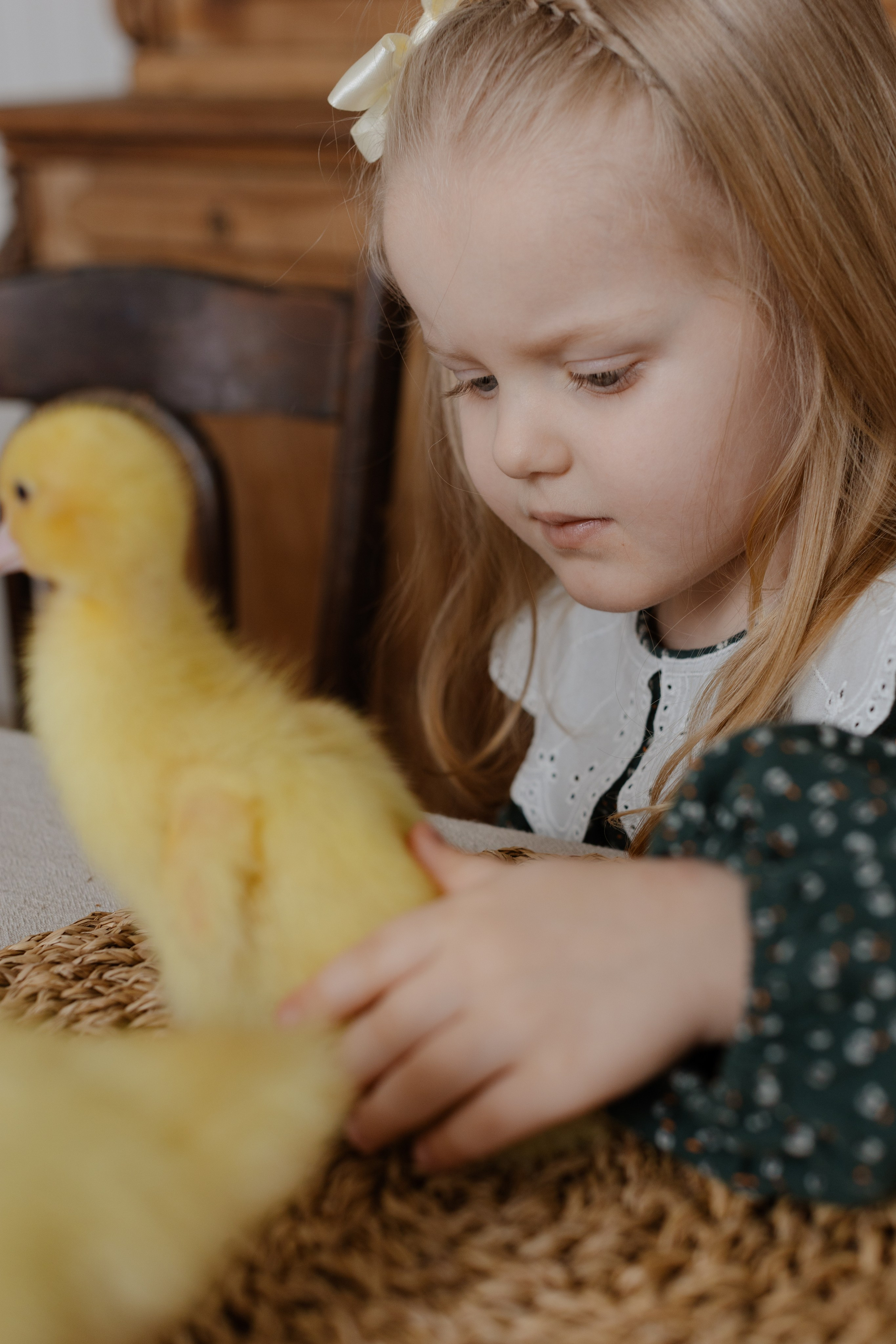 Пасхальные. @dariazphotodays