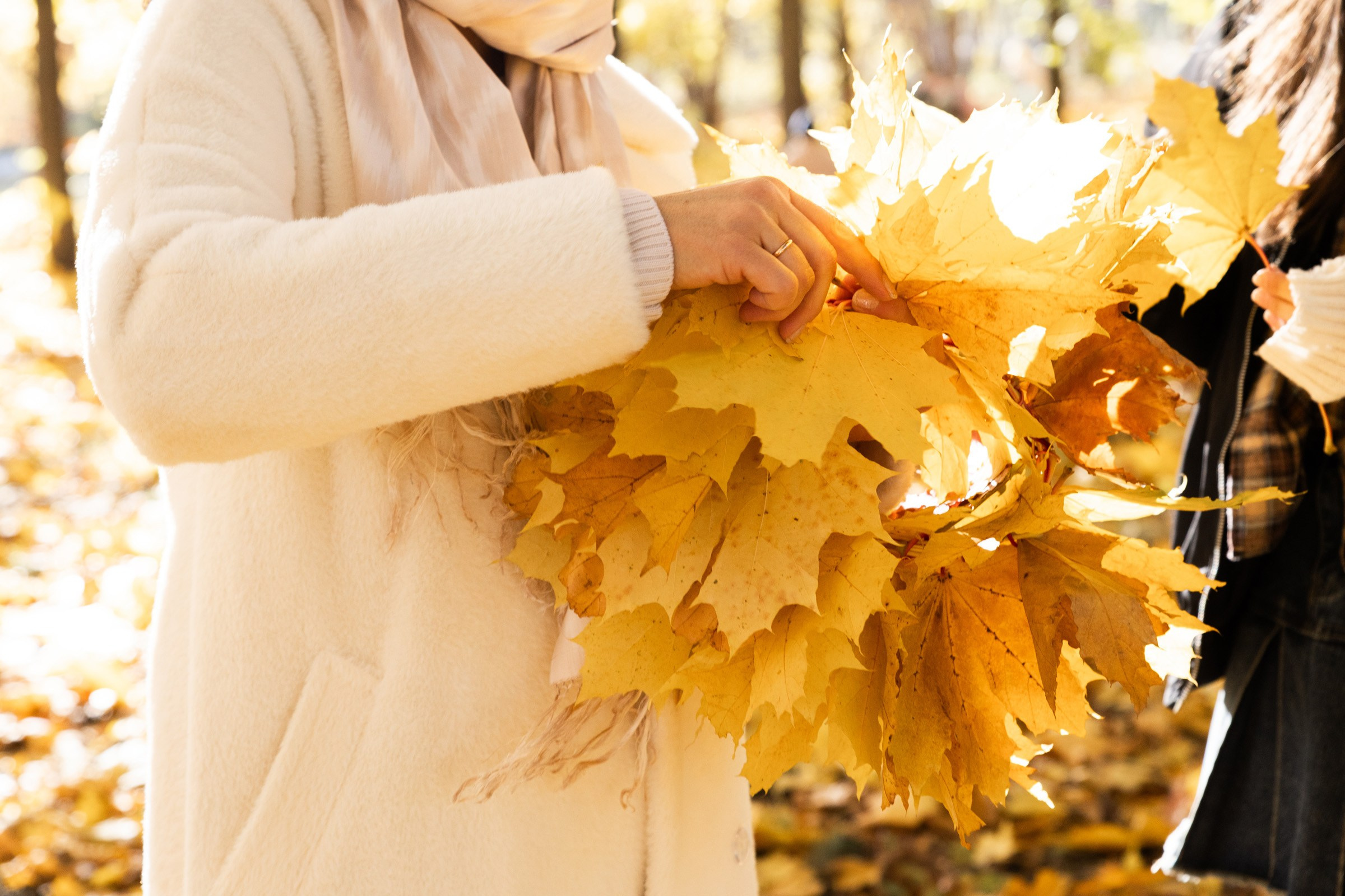 В парке. Семьи, портреты, школьные съемки. Фотограф Лагутина Елена. Москва