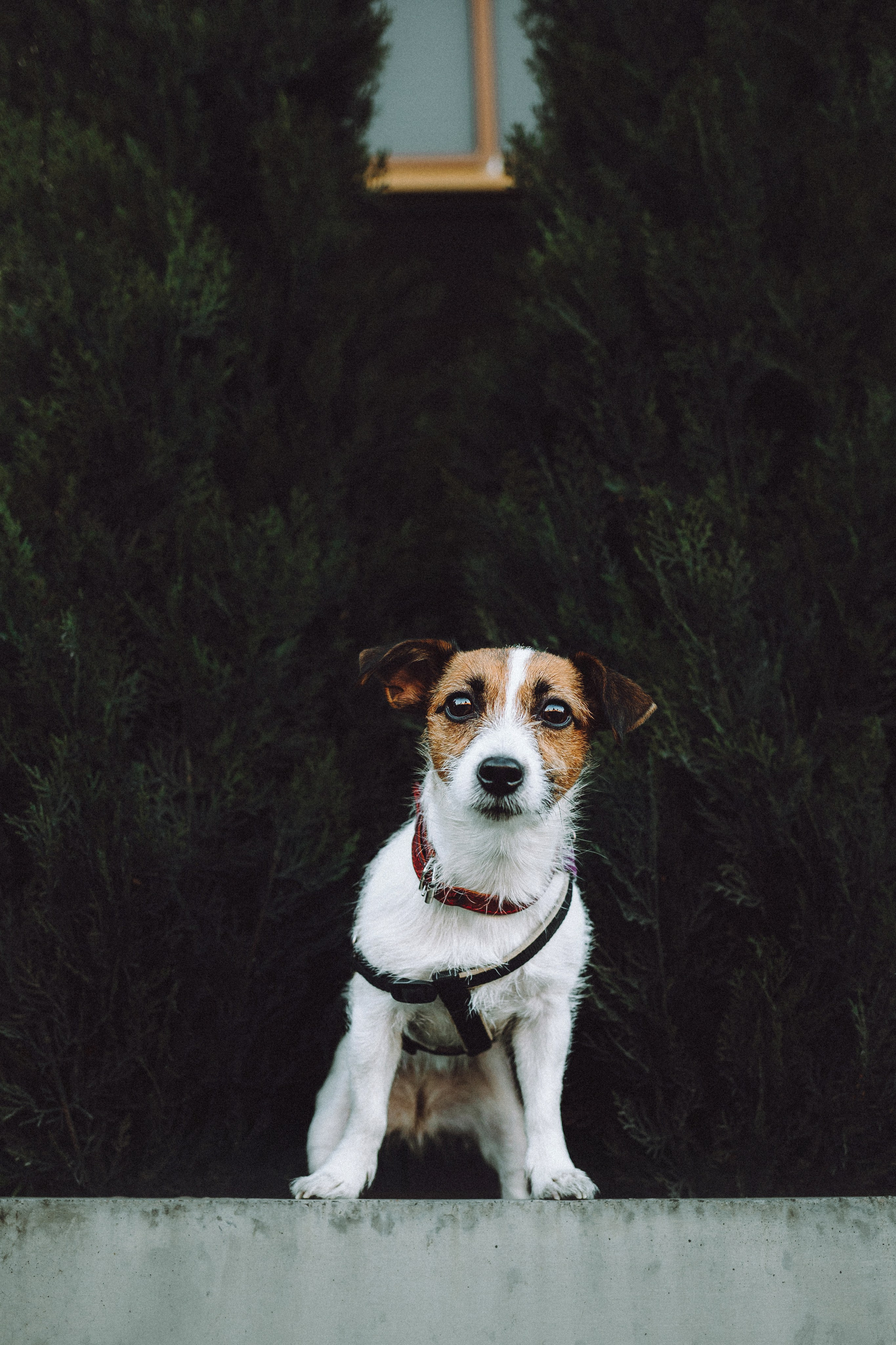 Лера и Рада