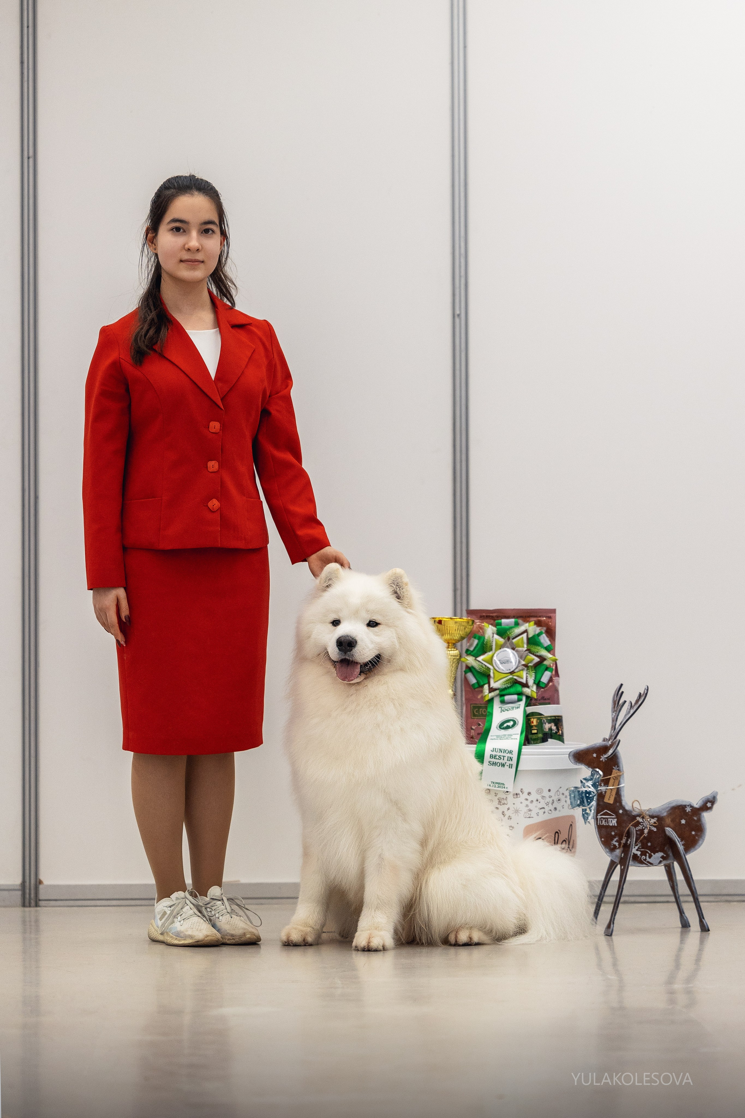 14.12.2024 Выставка собак всех пород «Кубок Дружбы — 2024». YULA KOLESOVA | Фотограф — Анималист | Художник | Тюмень