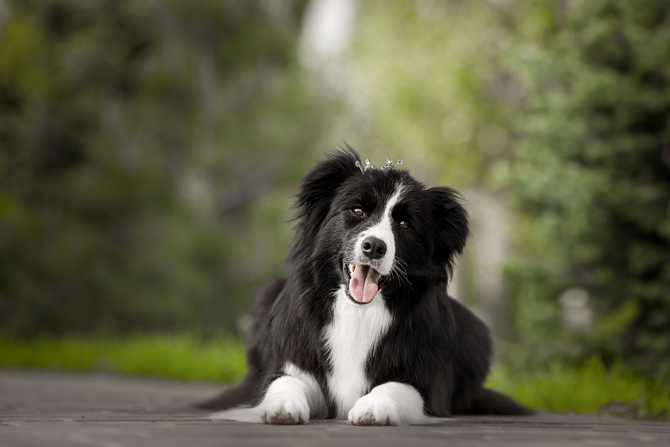 Роскошь в ростошах. О нас