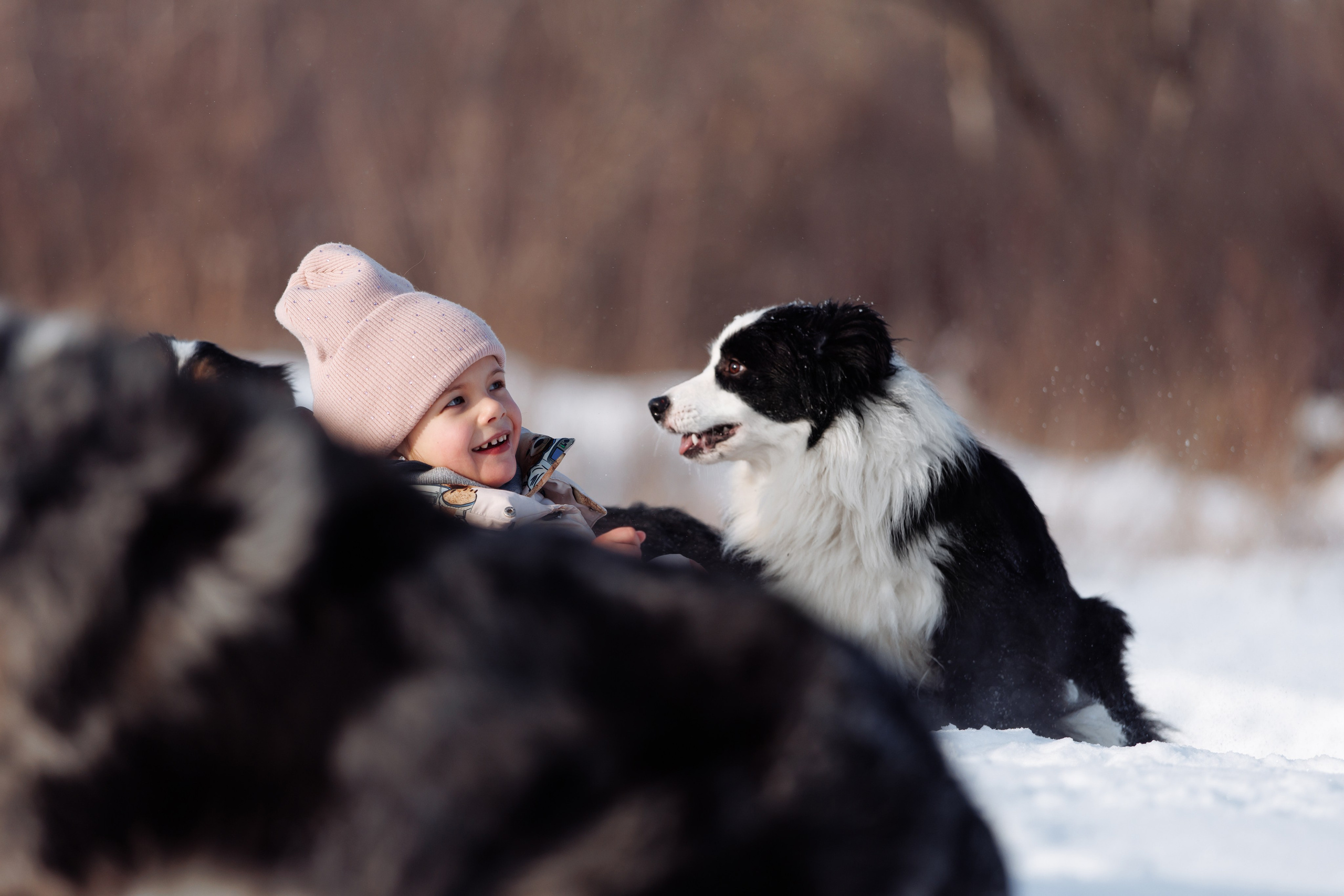 Яркий январь. О нас