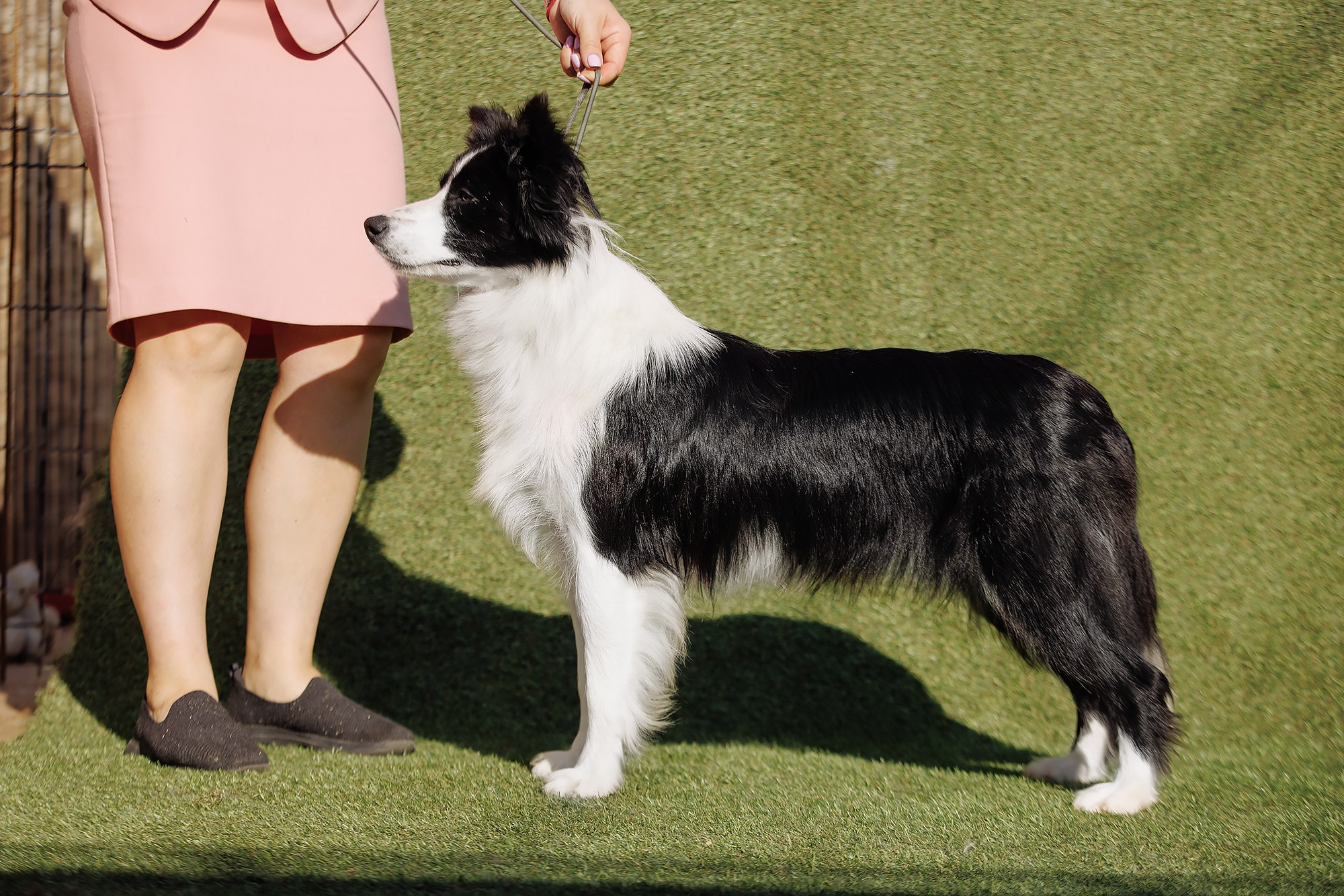 Трава у дома. О нас