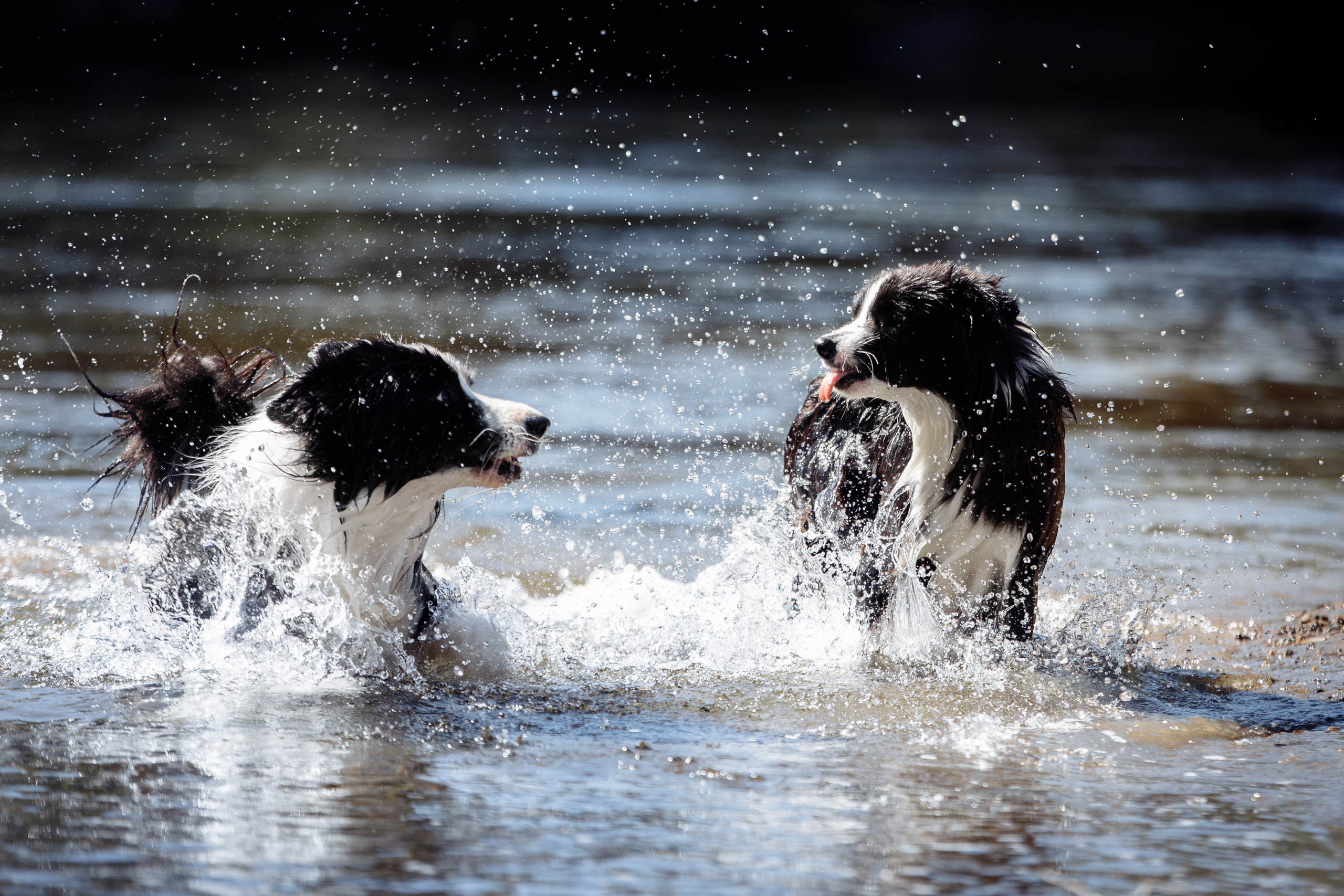 Водяные в Новотроицке. О нас