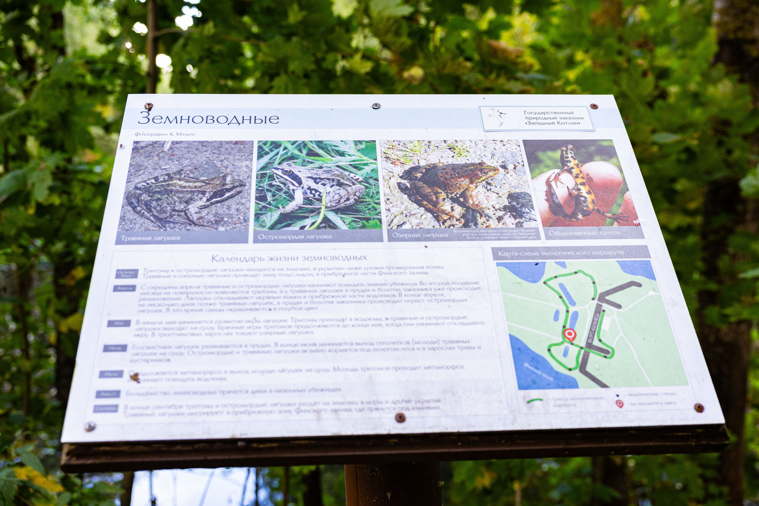 Зеленый пластик. Западный Котлин. Фотограф/видеограф в Санкт-Петербурге Динара Гольдина