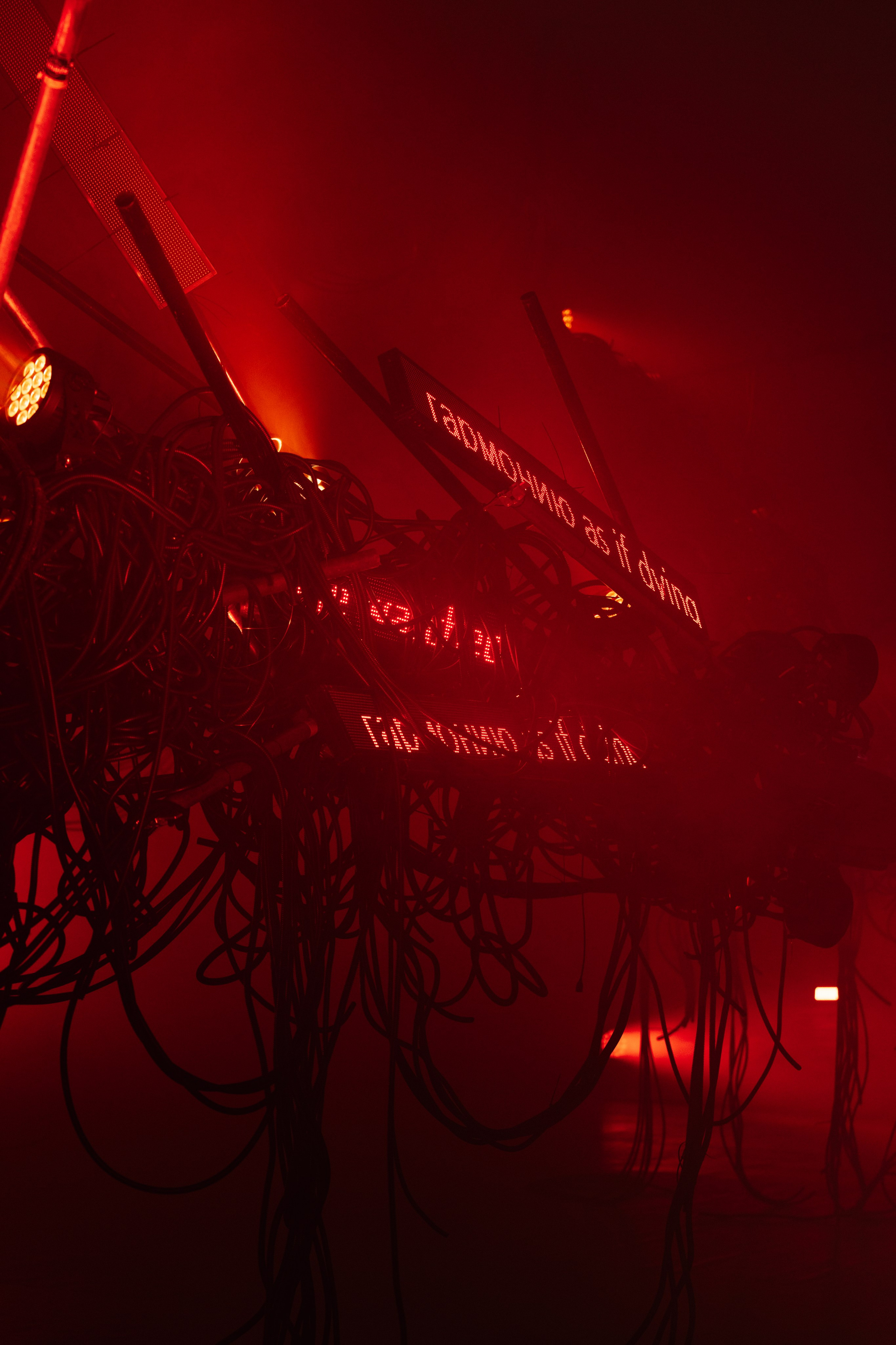 PANTERRA, CHRONOMORPH 001. @tomrus: Рустам Шагиморданов — фотограф