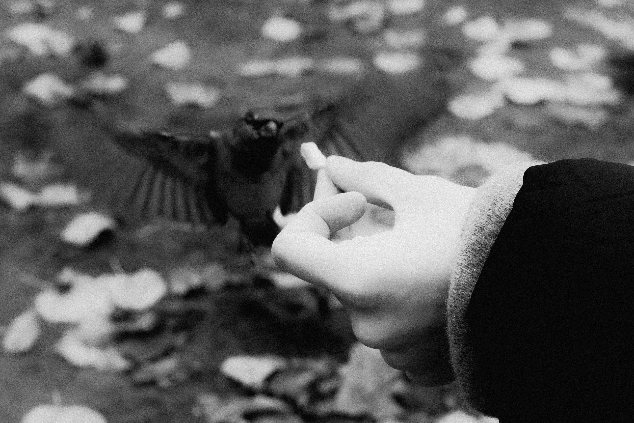 № 17. WAYHAY — Портретный фотограф