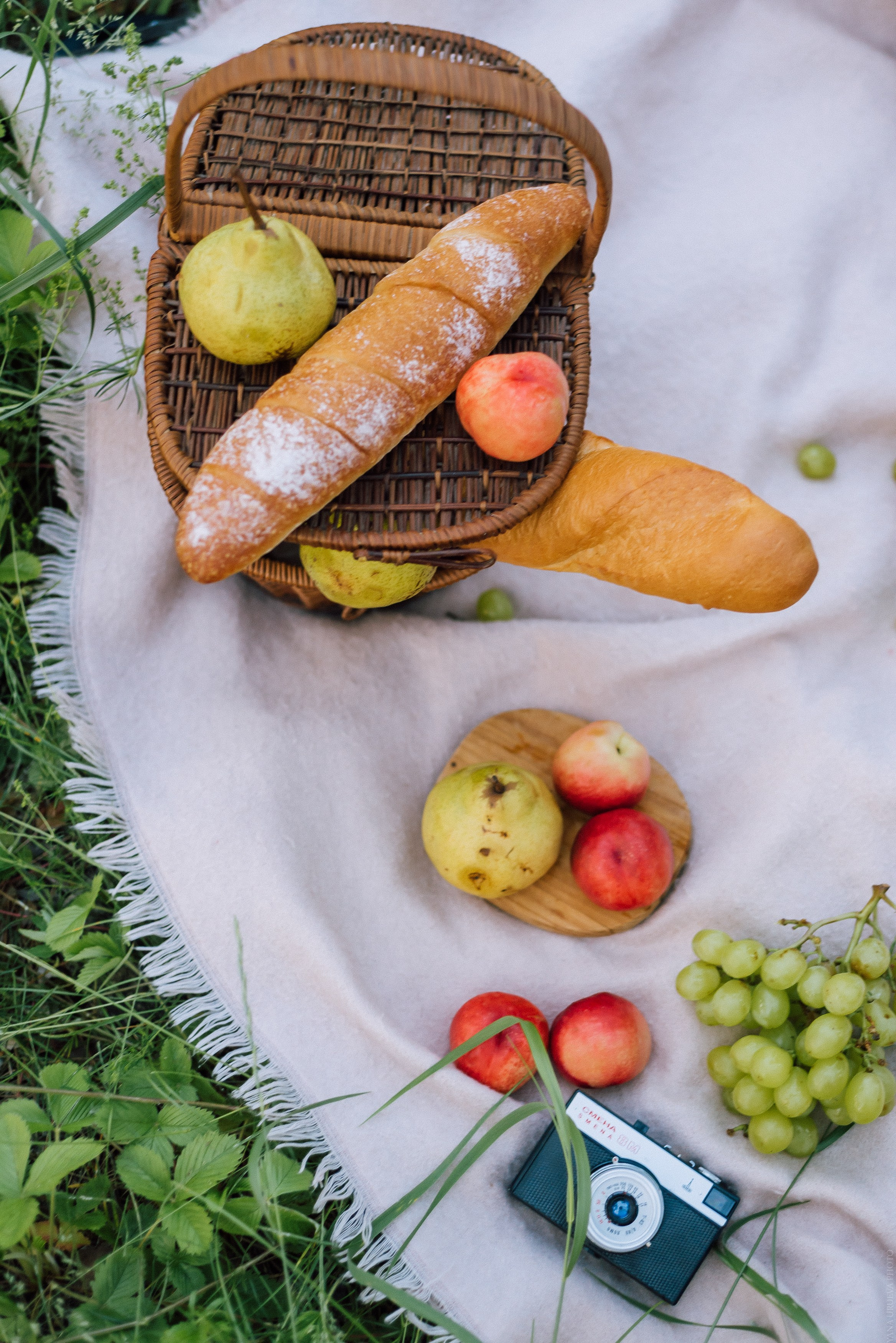 Семейная фотосессия на природе. Свадебный и контент- фотограф в Тольятти, Самаре, Москве Яна Уруева