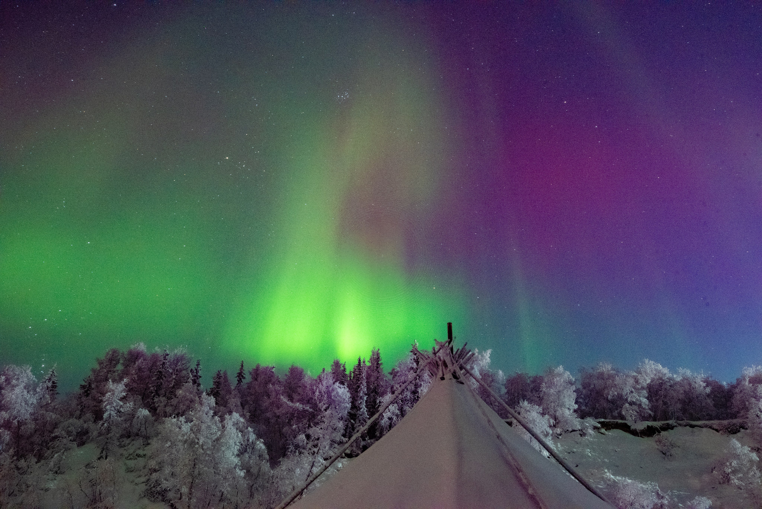 На полярном круге. Семейный и детский фотограф в Санкт-Петербурге Татьяна Дмитренко